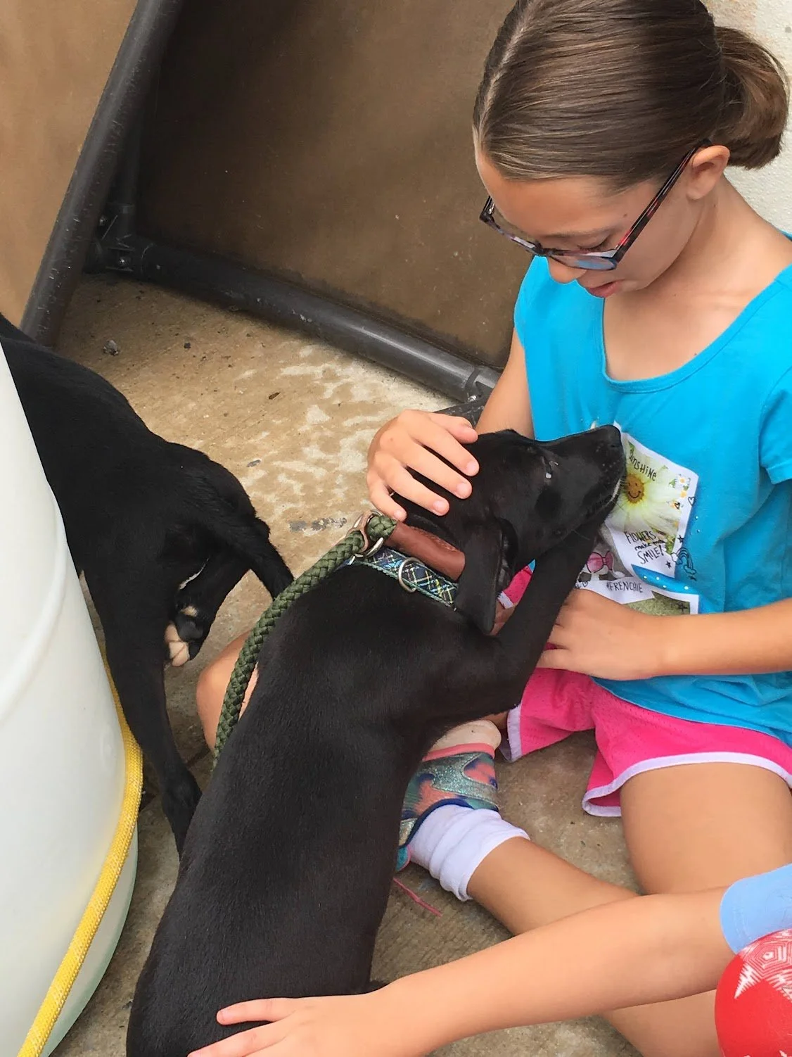 From our hearts, to their paws