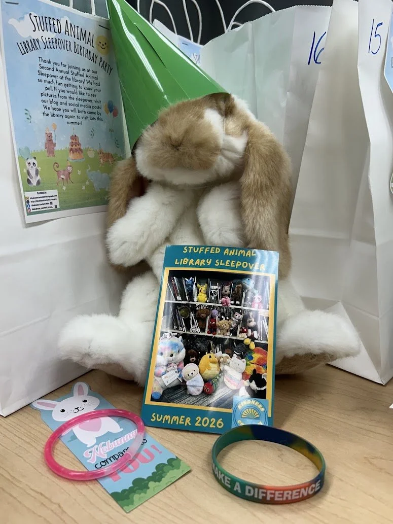 Stuffed Animal Sleepover at the Library!