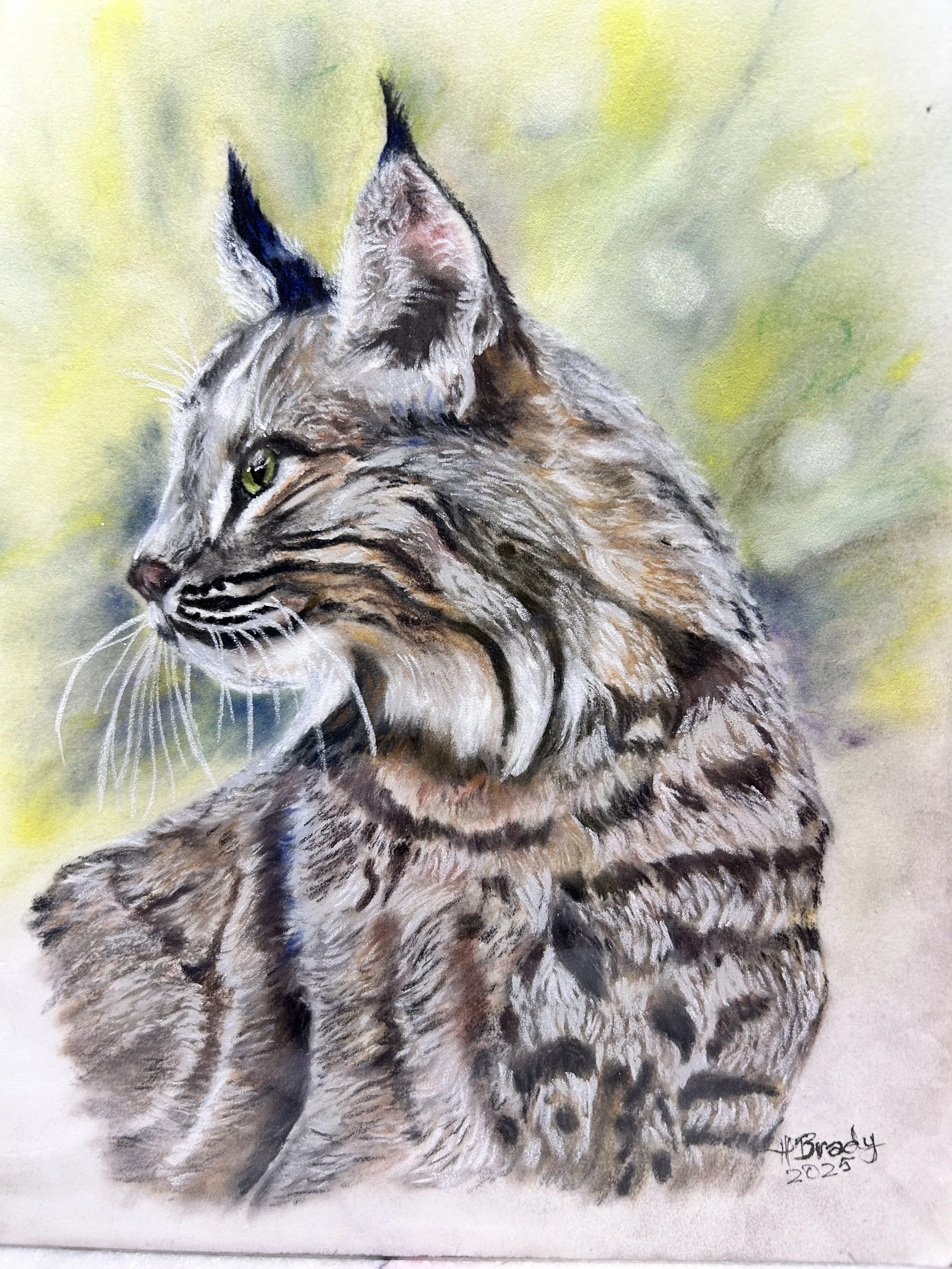 Colored pencil drawing of a tabby cat with green eyes, looking to the left, with a blurred yellow and green background.