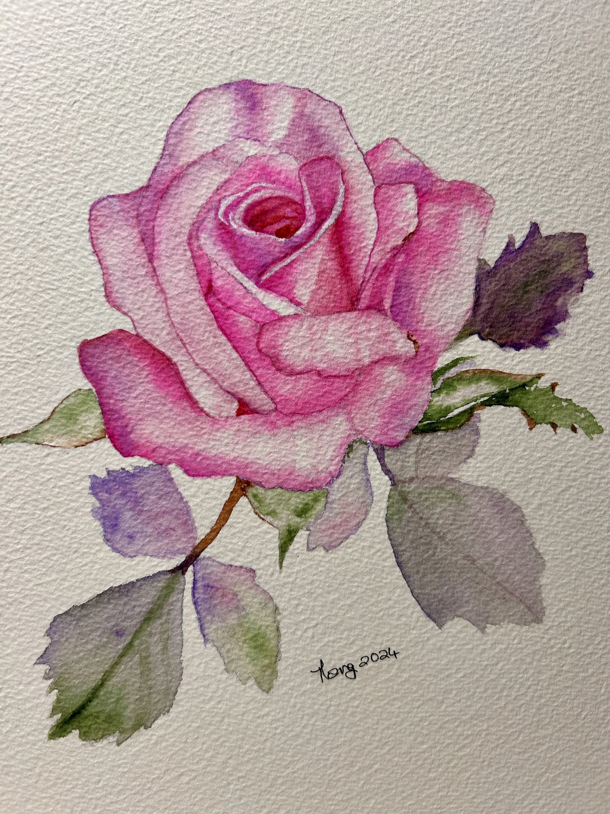 Watercolor painting of a pink rose with green and purple leaves, signed 'Marg 2024'.