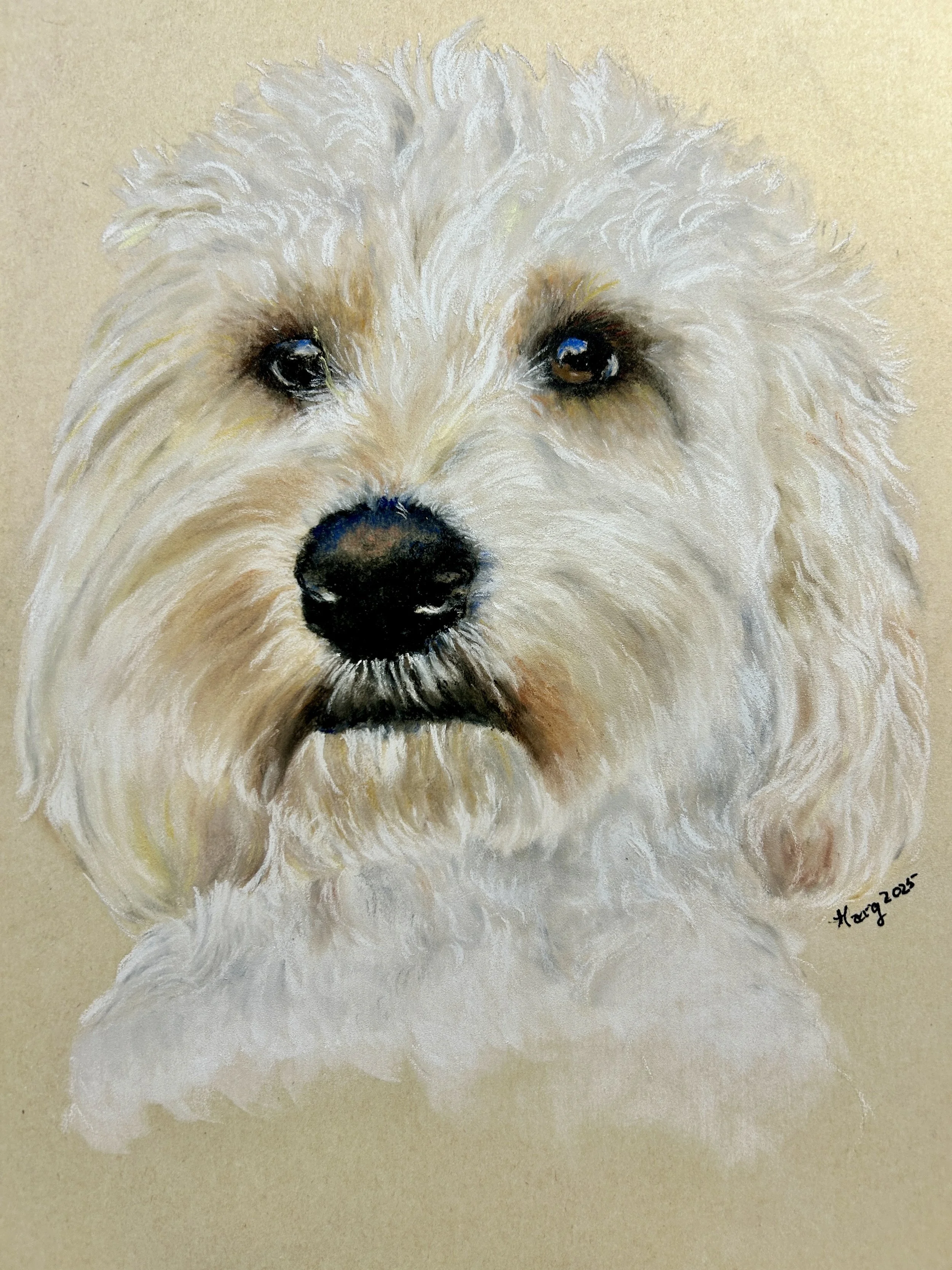 Painting of a fluffy white dog with dark eyes and black nose, facing forward.