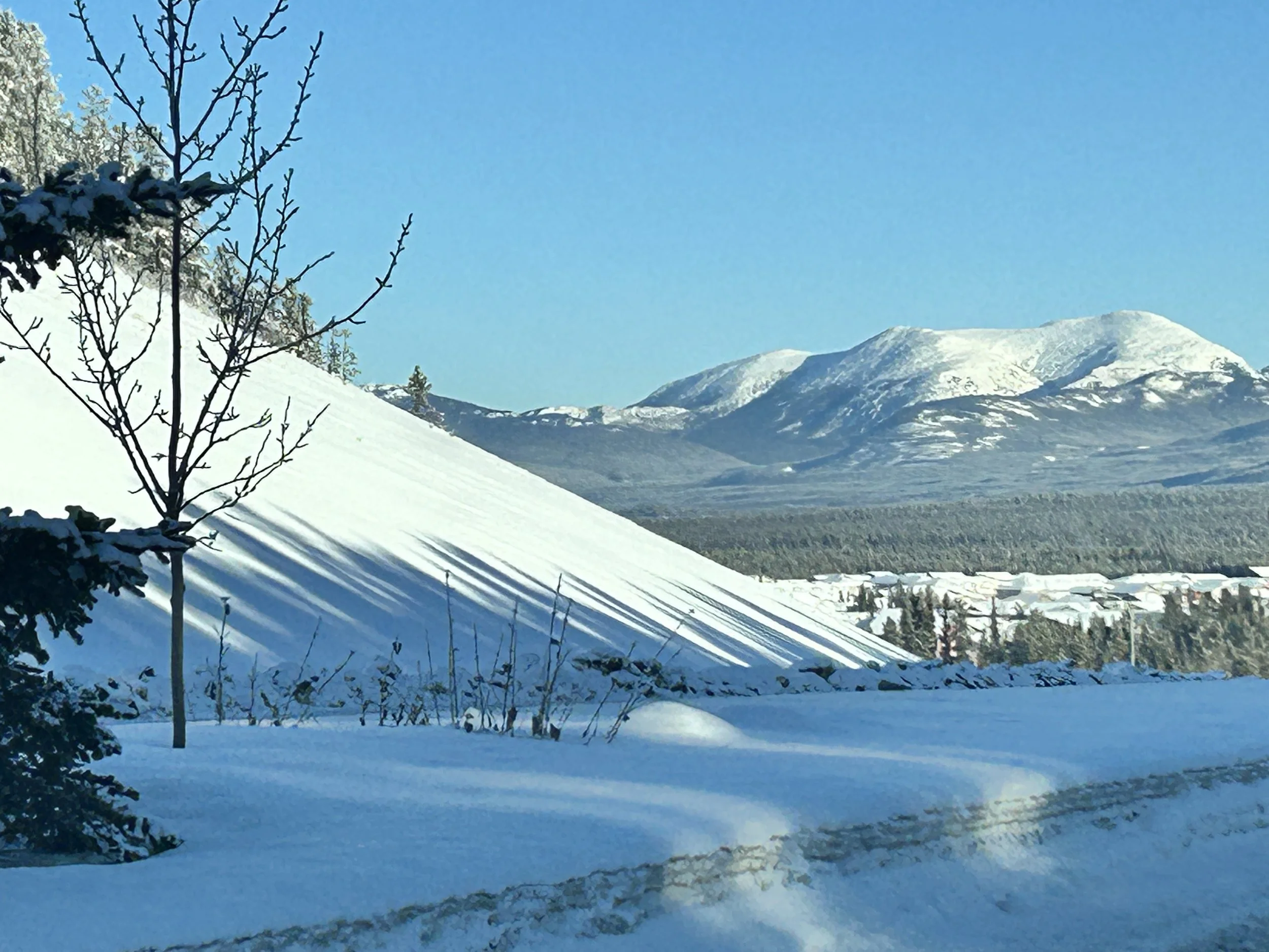 Snow-covered landscape with mountain range in the background, leafless trees in the foreground, and a clear blue sky.