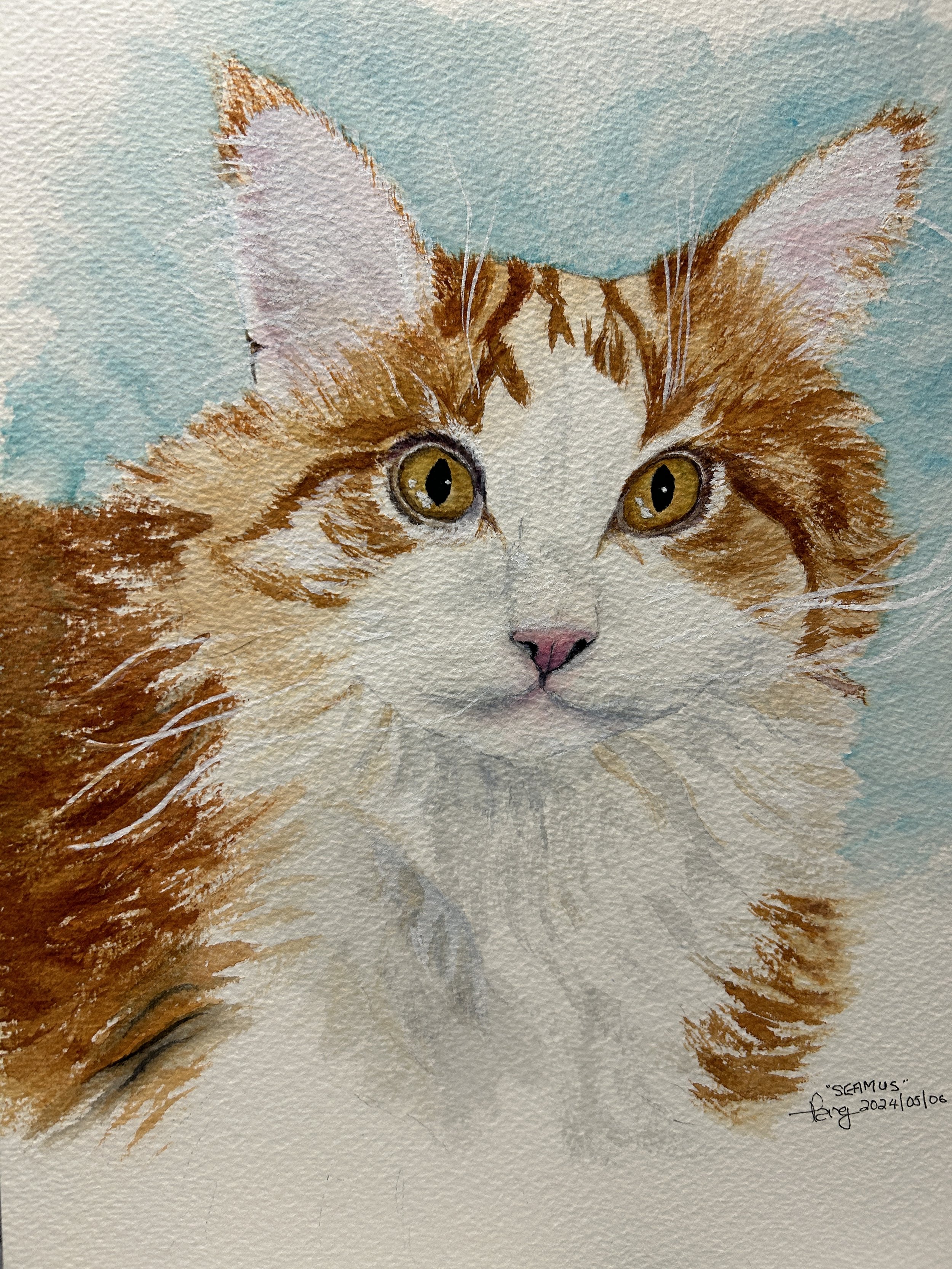 Watercolor painting of a ginger and white cat named Seamus with yellow eyes, pink nose, and a light blue background.