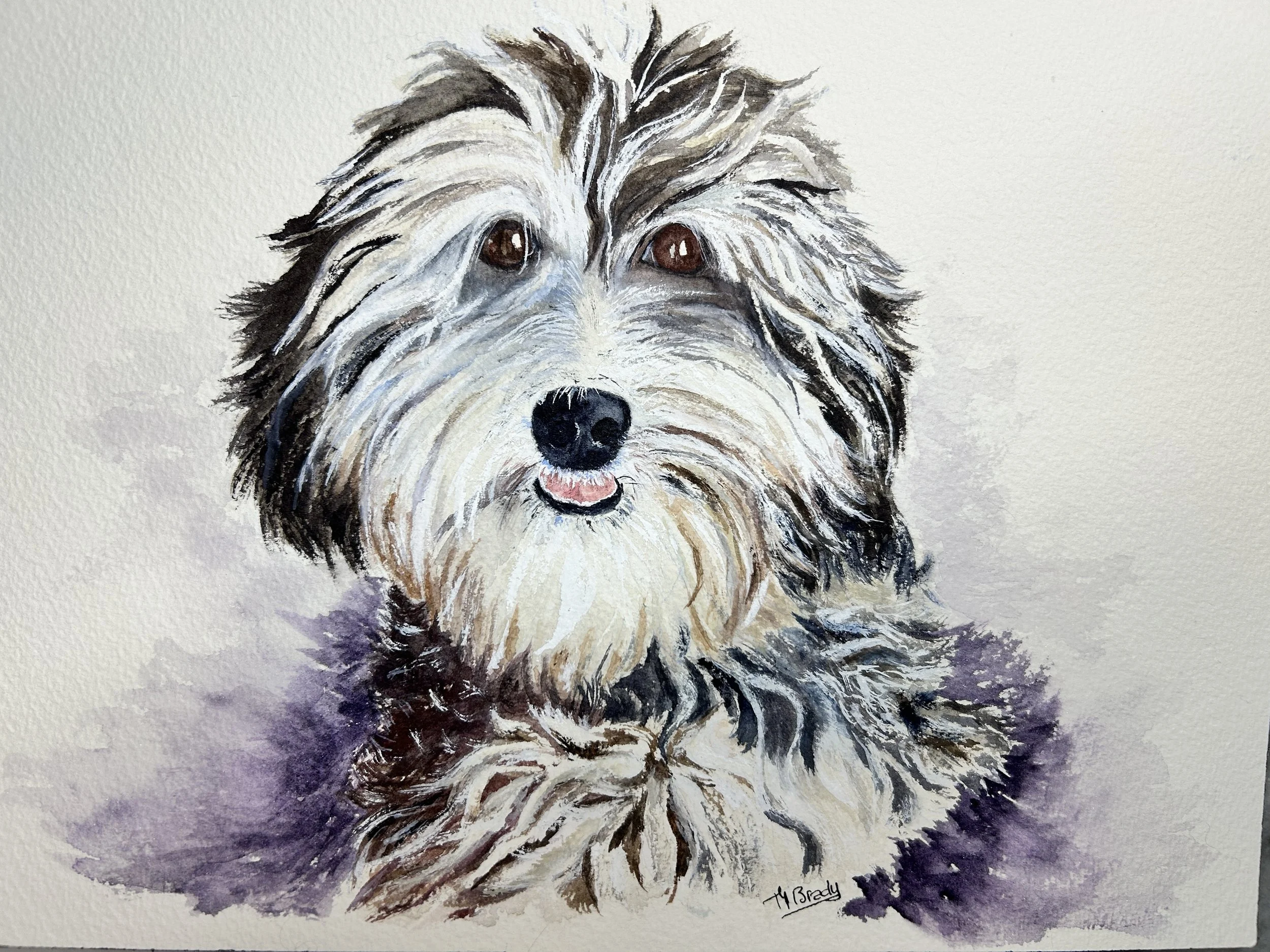 A watercolor painting of a fluffy, gray and white dog with brown eyes and a small pink tongue visible, set against a neutral background.