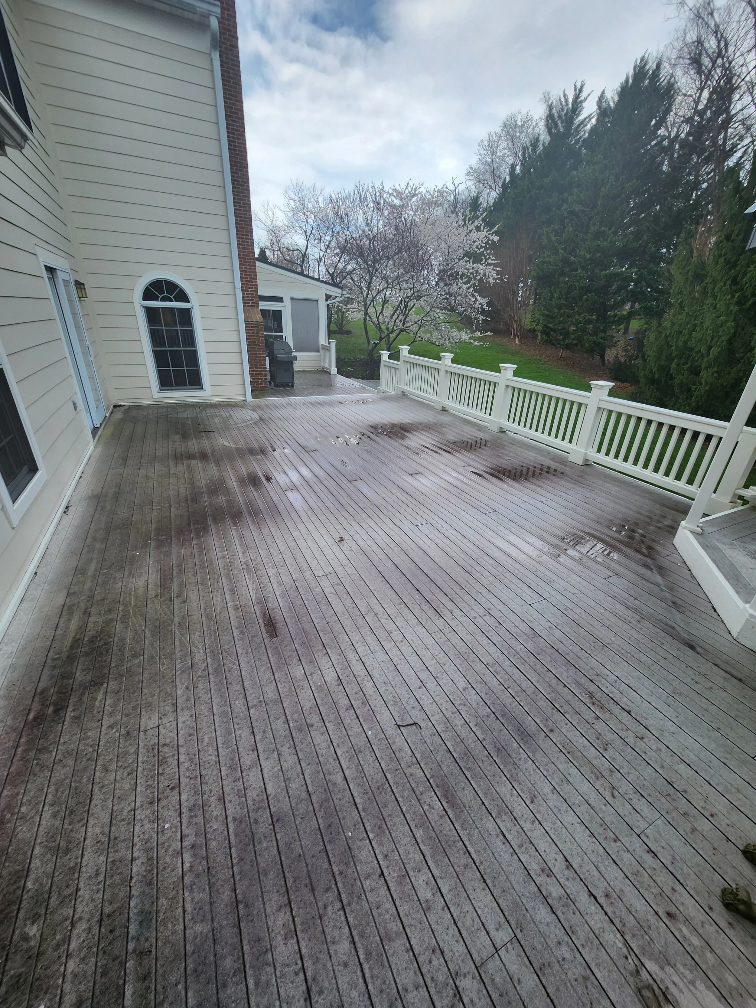 Deck Before Cleaning