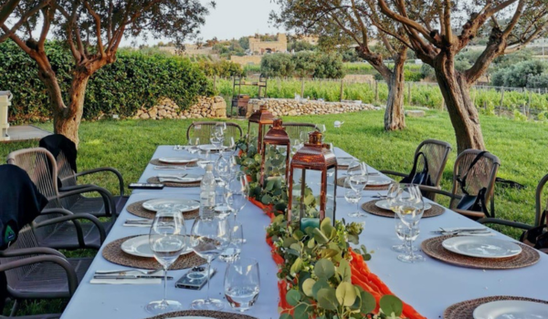 Outdoor dining table set with plates, wine glasses, and lanterns in a garden with trees and greenery.