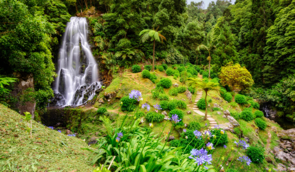 A lush green garden with a cascading waterfall surrounded by trees and purple flowers. Yoga Adventure travel taking you to places you've only dreamed of. 