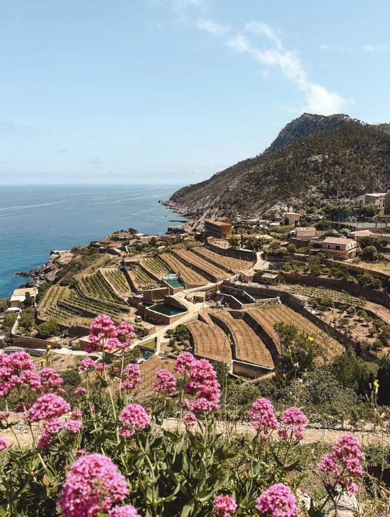 Scenic hiking trail in the Serra de Tramuntana with hikers and Mediterranean views.