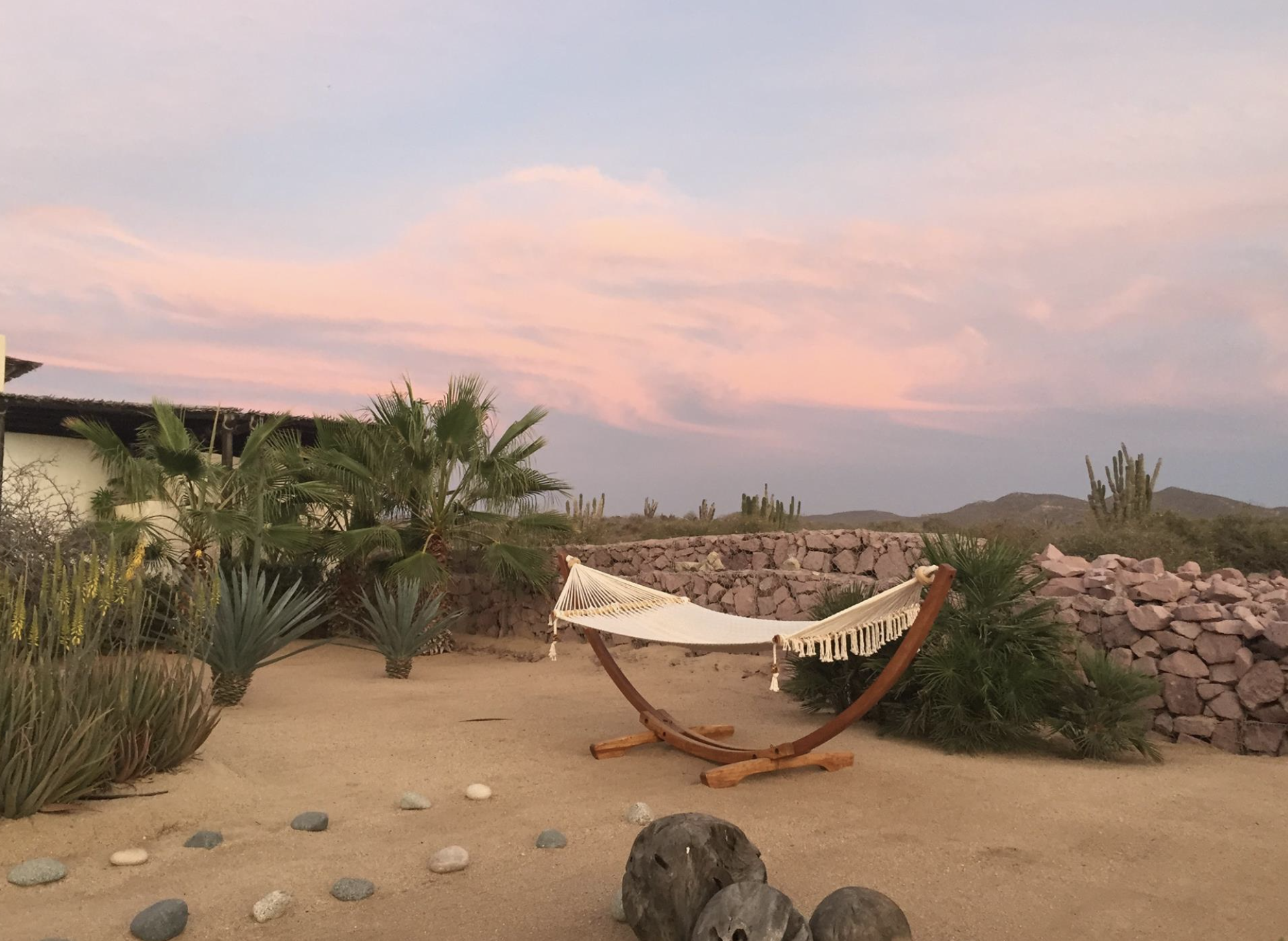 A hammock on a wooden stand in a desert landscape with cacti, succulents, a stone wall, and a pink and blue sky at sunset.
