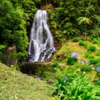 A waterfall flowing down rocks surrounded by lush green trees and plants in a garden setting.