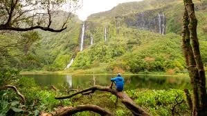 A person sitting on a fallen tree branch by a lake with waterfalls and lush green trees in the background.