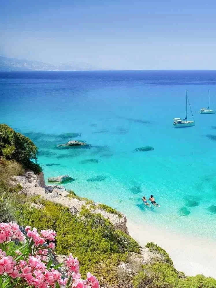 A coastal scene with a sandy beach, clear turquoise water, two people swimming, and two sailboats anchored in the water. There is greenery and pink flowers in the foreground, with distant mountains in the background.