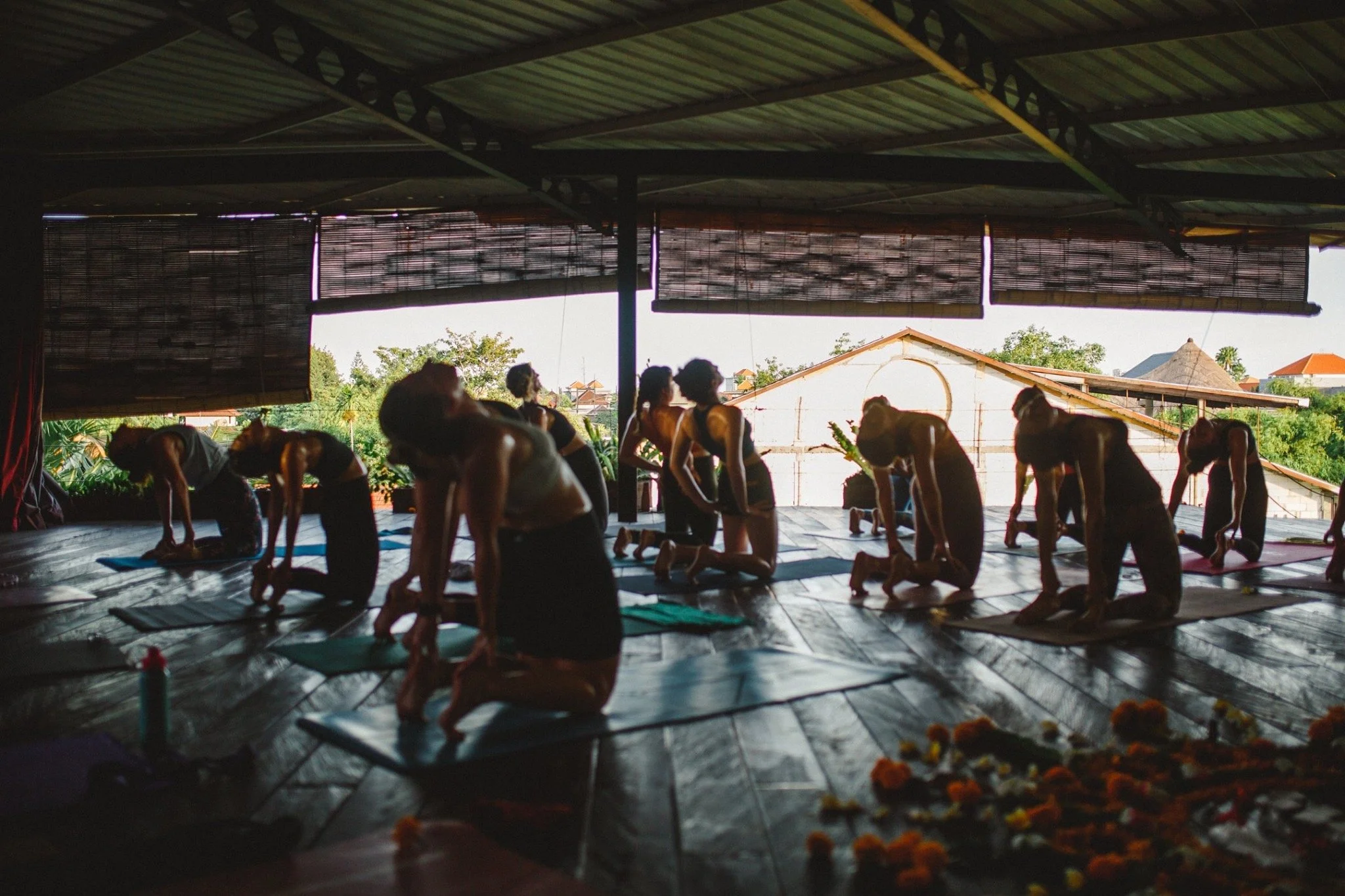 A group of people practicing yoga in a dimly lit studio with large windows showing outside greenery and rooftops, some in kneeling or bent poses on yoga mats.