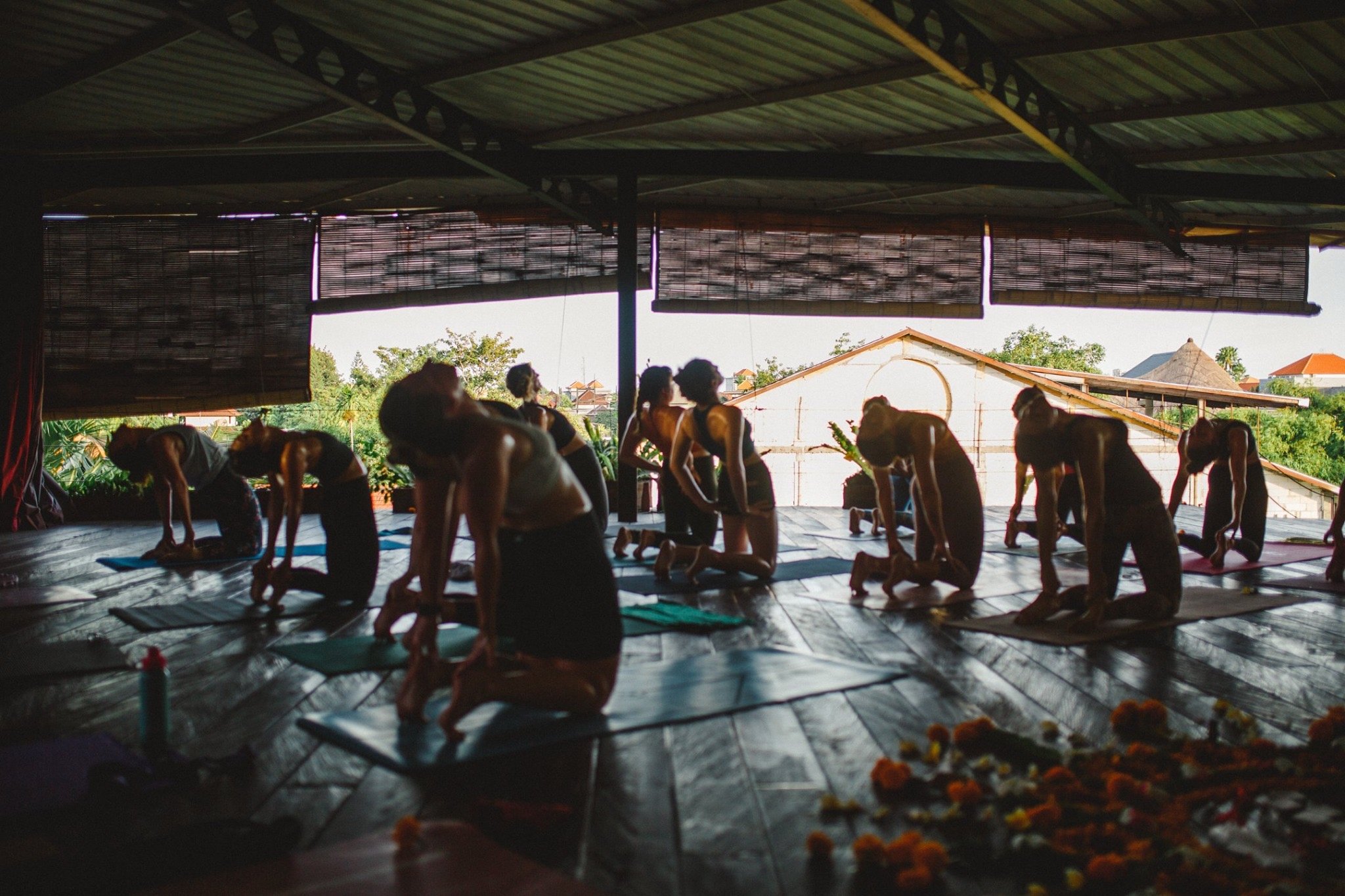 Group of yogis in bali taking a class