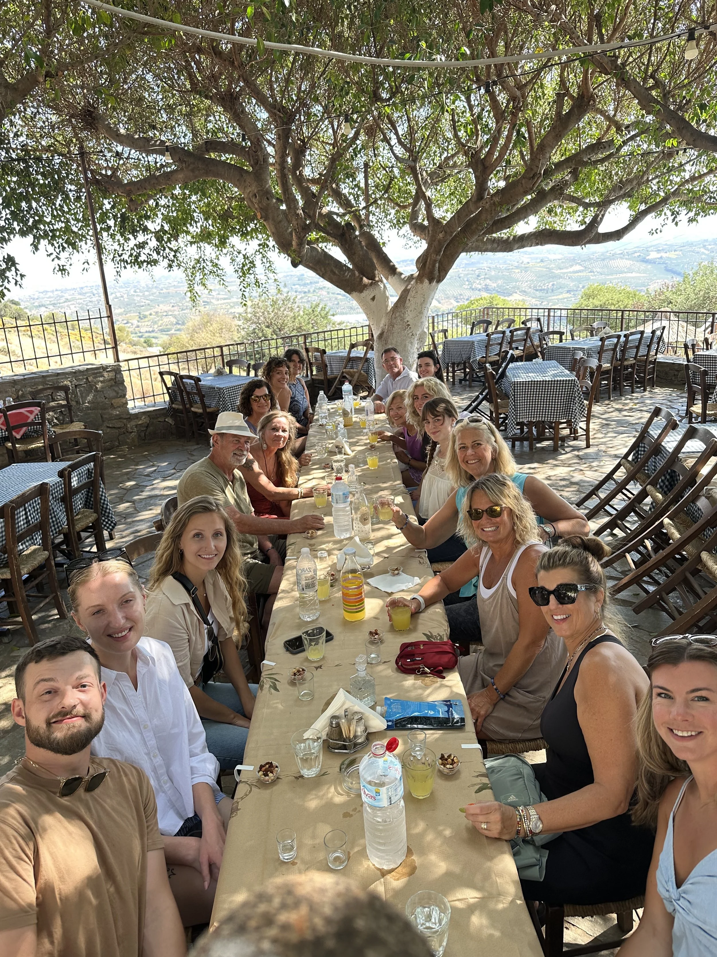 A group of people sitting around a long outdoor table under a large tree, enjoying drinks and snacks at a scenic restaurant with a view of the countryside.