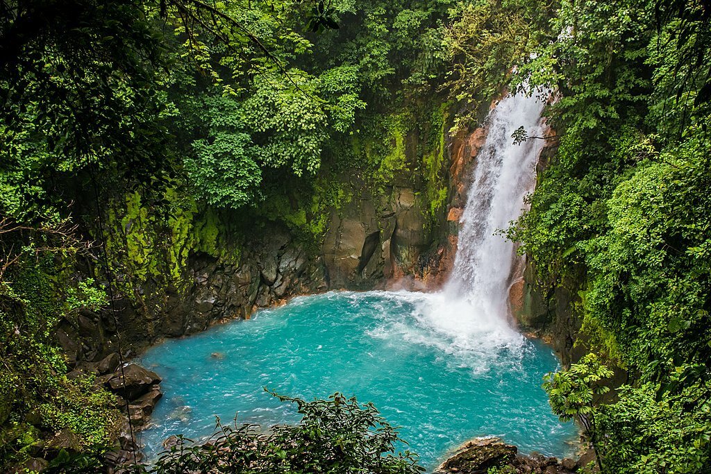 A waterfall cascading into a turquoise pool surrounded by lush green trees