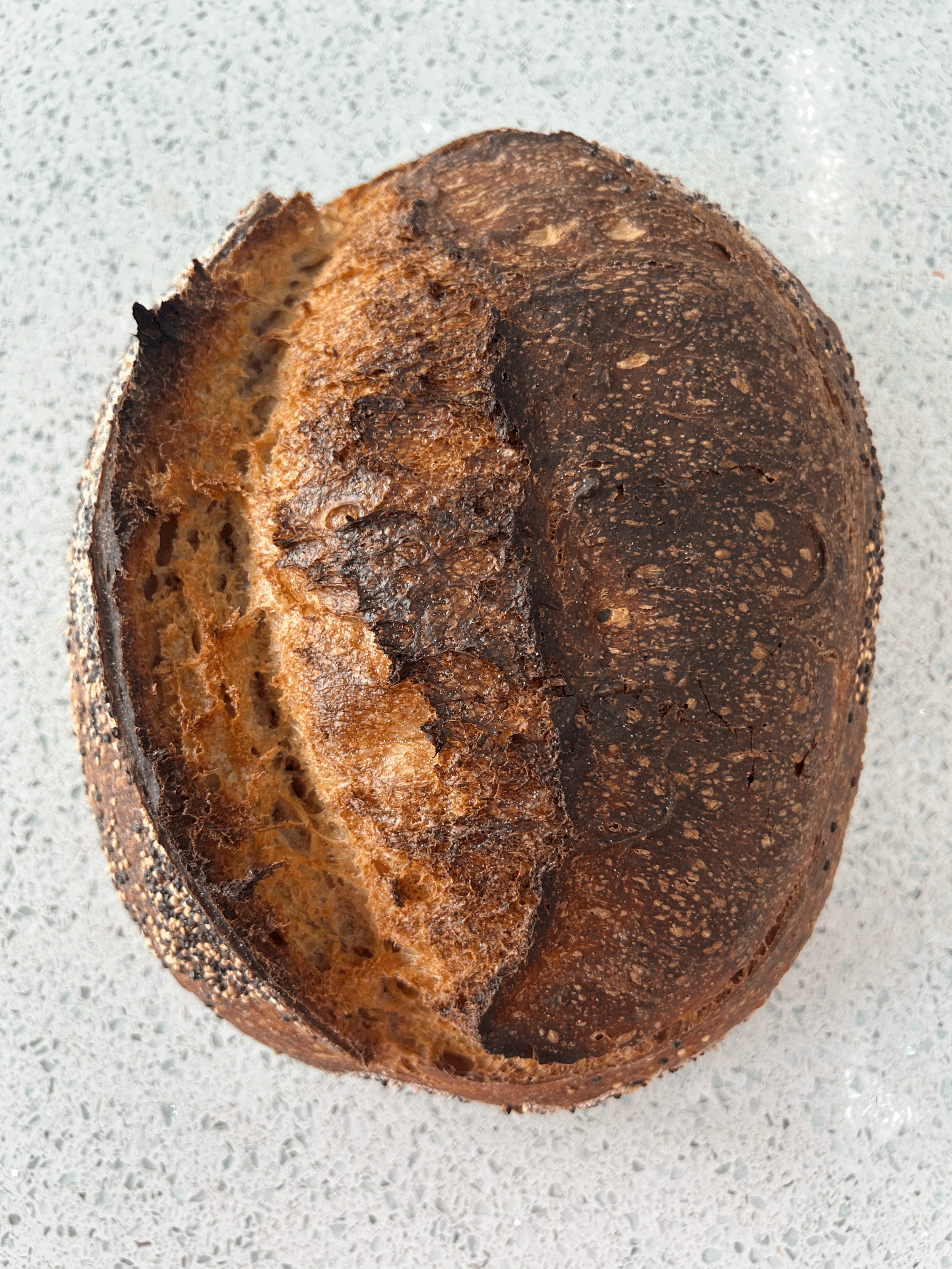 Strong Sourdough Bread, 25% wholegrains
