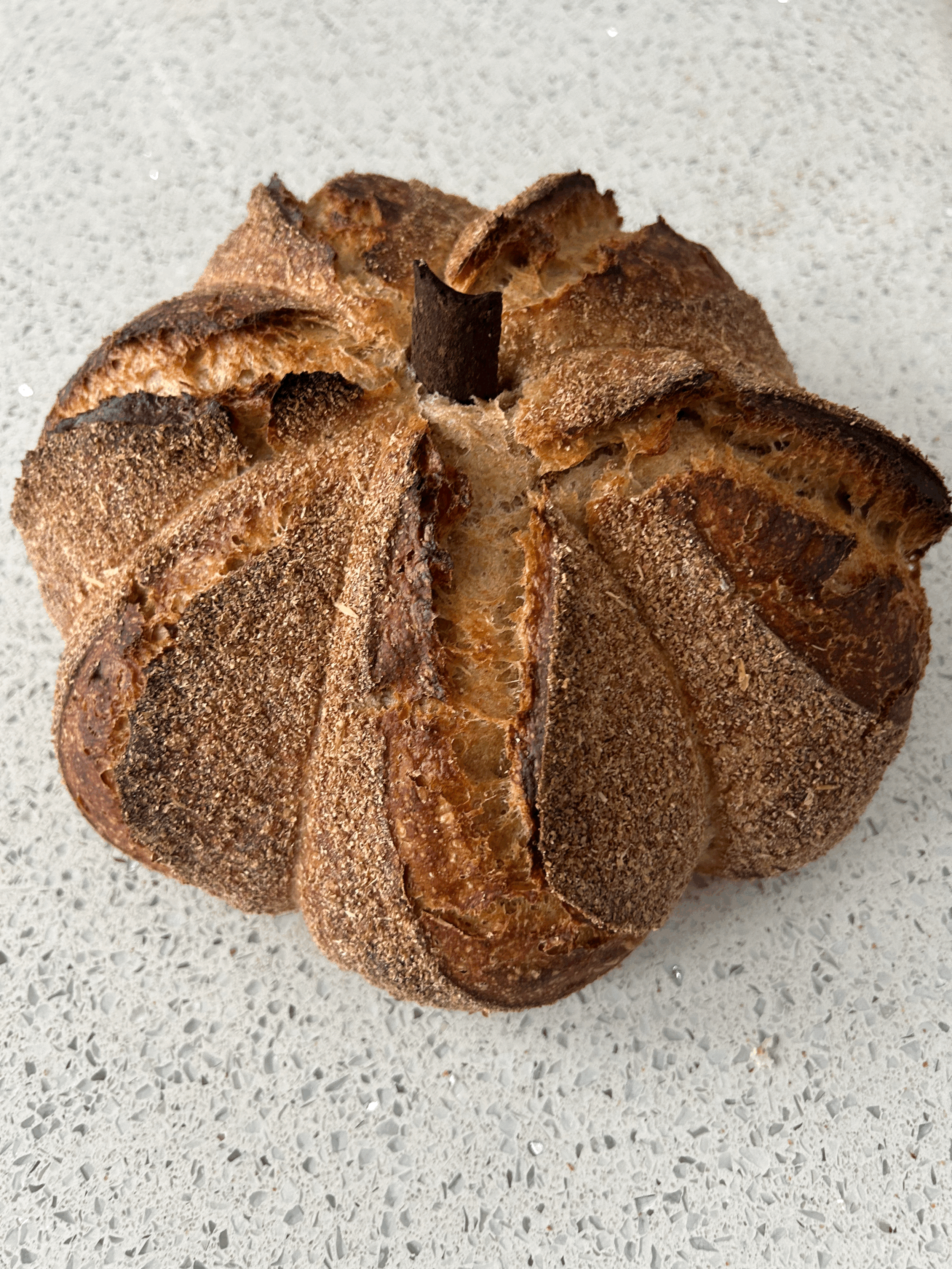 "Autumn" Sourdough Bread