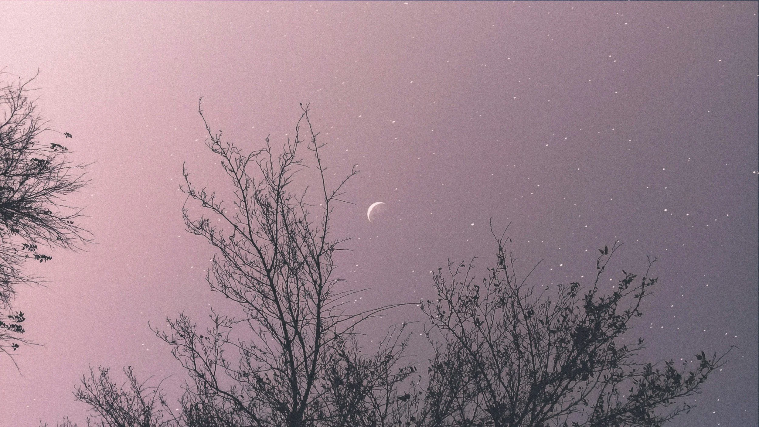 New Moon Circle - Winter Solstice 