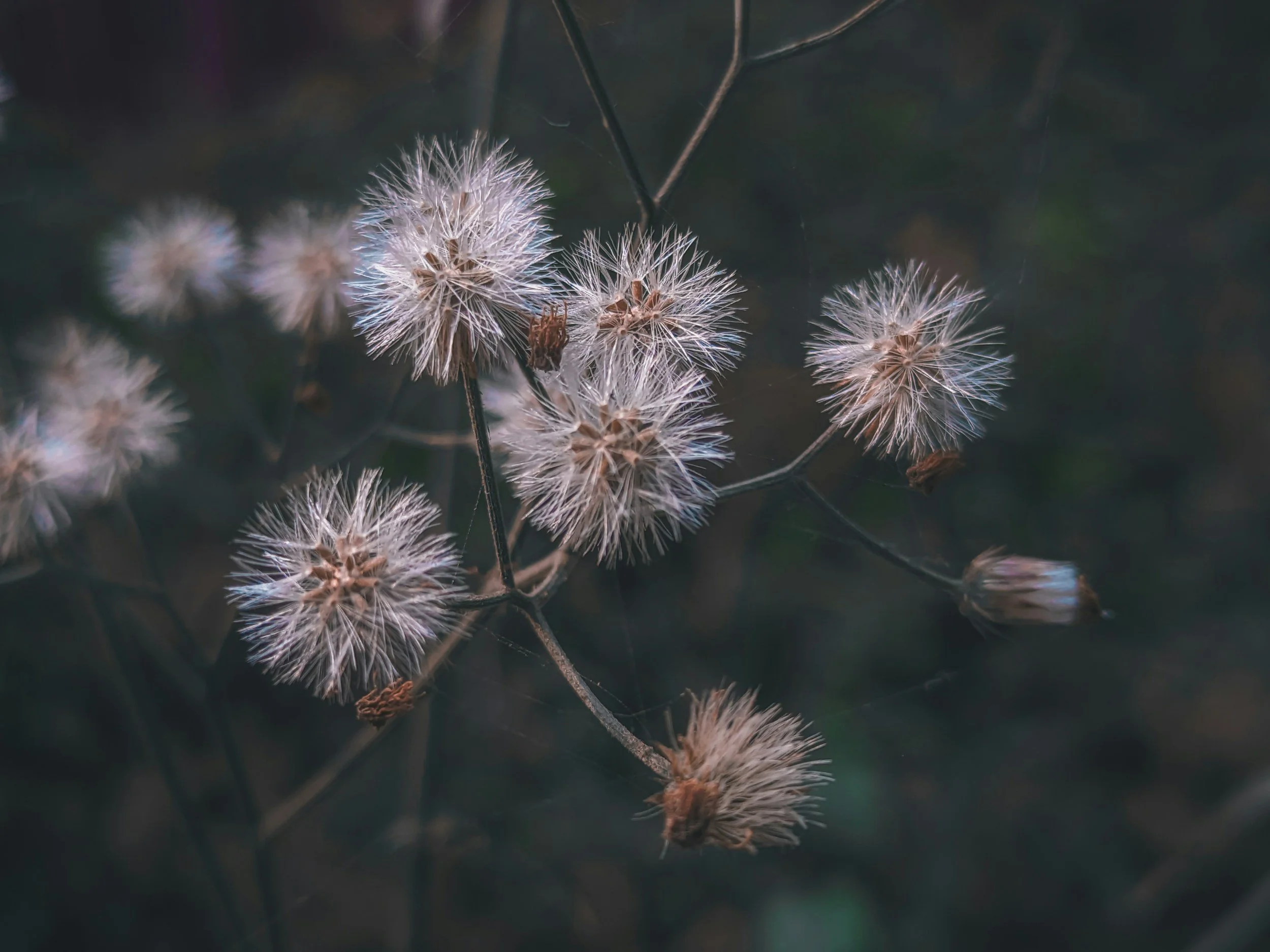 March New Moon Circle 