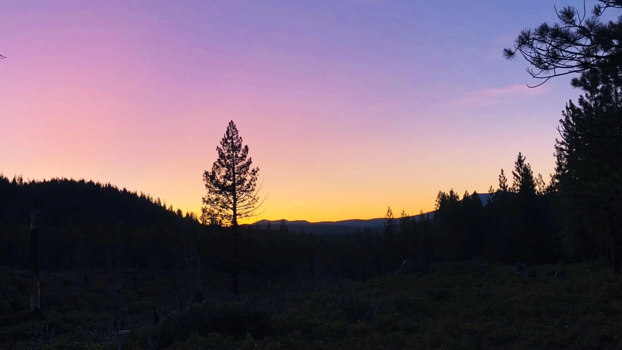 Leaving the Trail: On Loss and Abundance