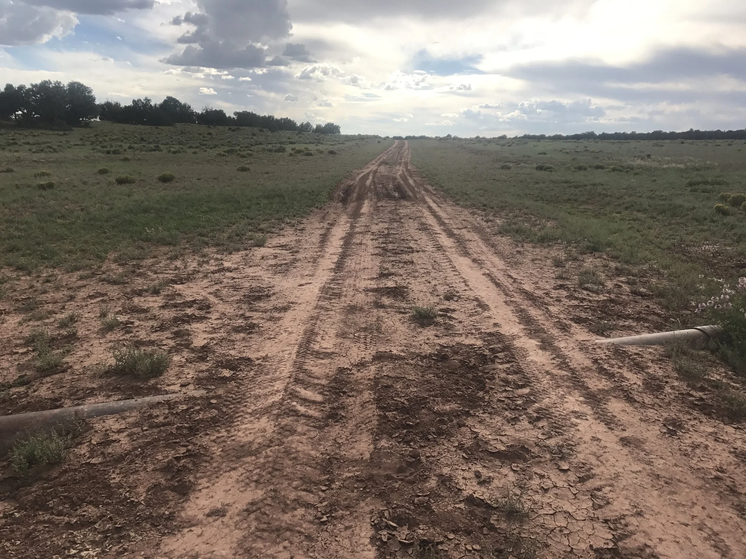 Day 27: My Most Boring Adventure or Maggie has a Meltdown