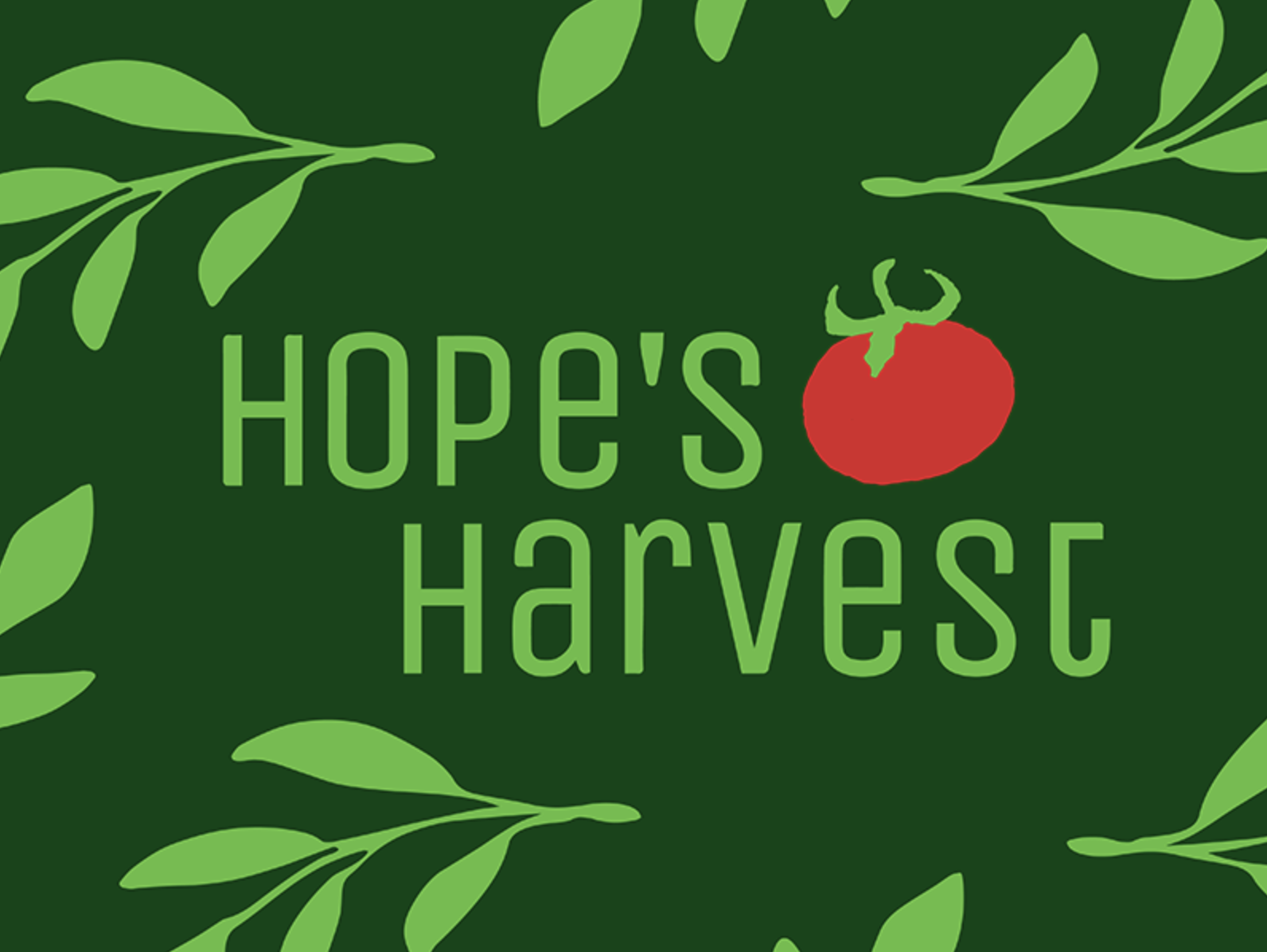 Screenshot 2025-06-02 at 8.49.56 AM.png