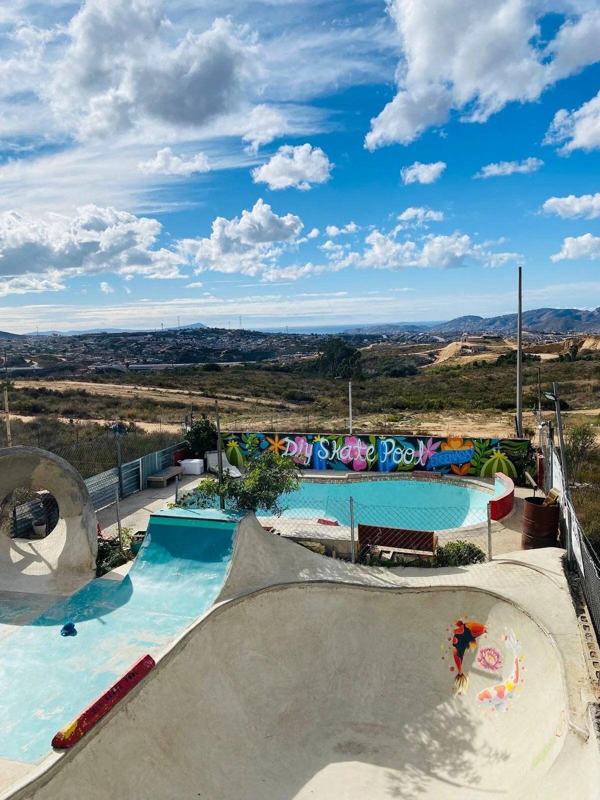 An outdoor skate park with a concrete bowl and a small pool. The background features a scenic landscape of rolling hills and a partly cloudy sky. There is a colorful graffiti mural that reads 'DIY Skate Park'.