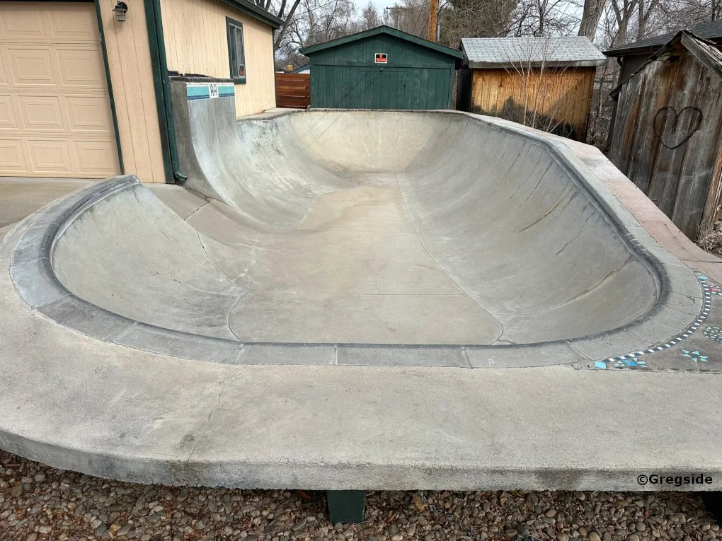 Empty concrete skate bowl in backyard with wooden sheds and trees in the background.