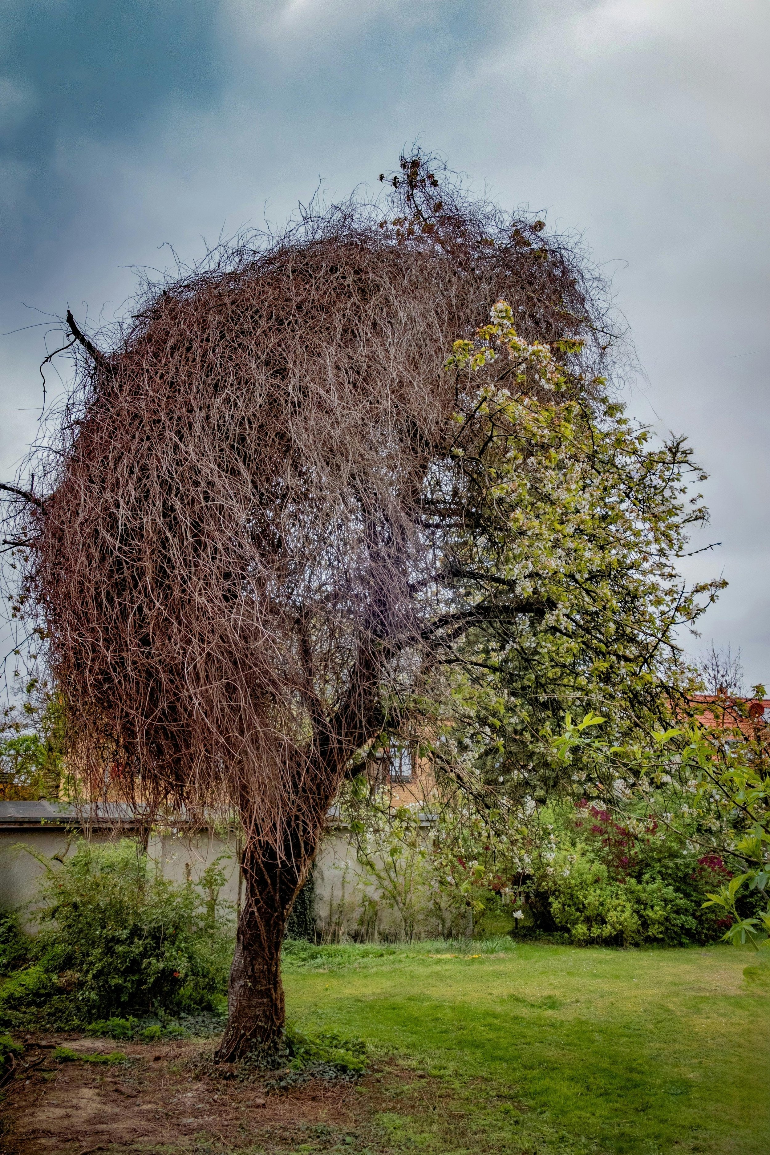 Splitting: Love Bombing and Why it Happens