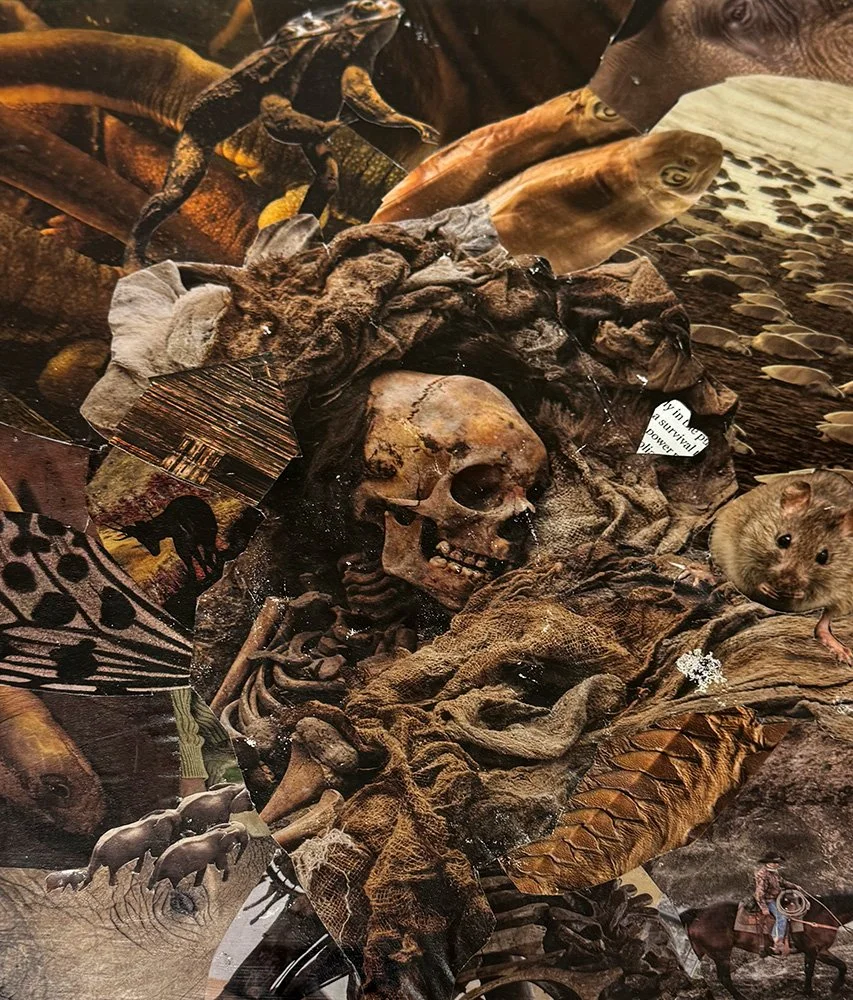 SDMC Art Showcase Honorable Mention 2025