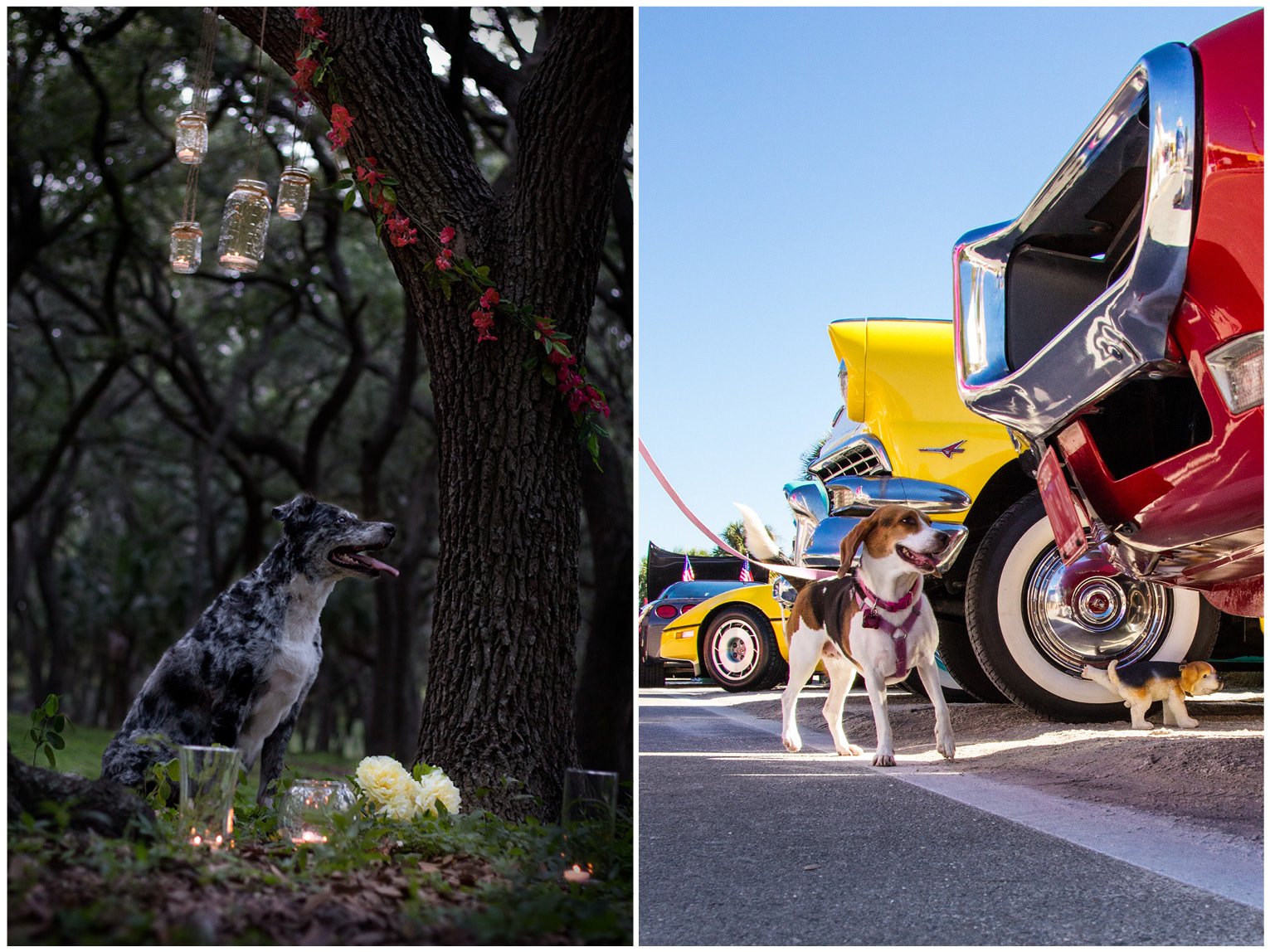 Portfolio Slides5.jpg