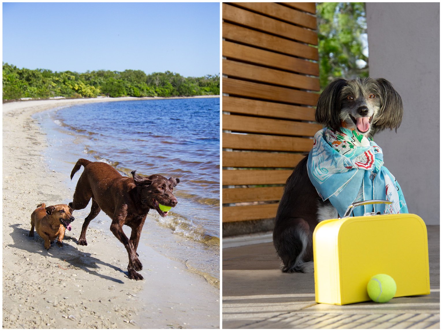 Portfolio Slides6.jpg