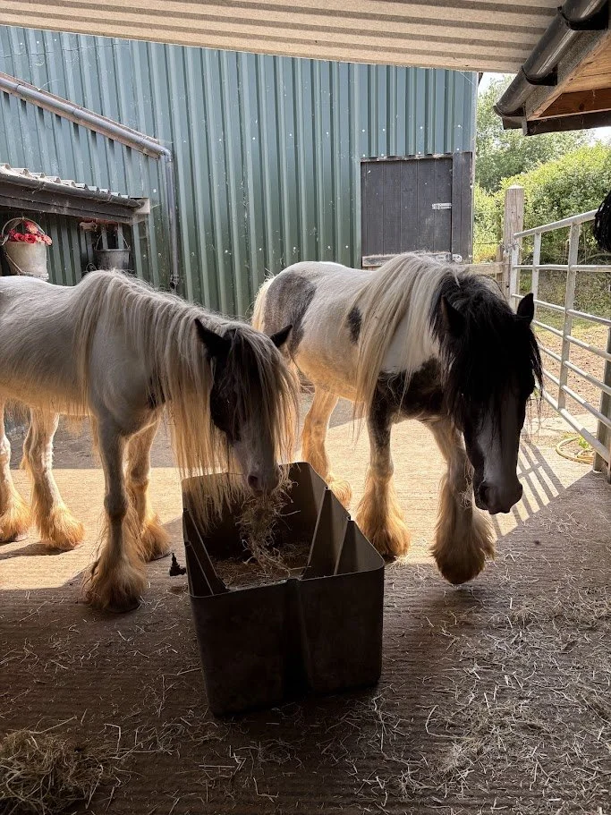 Thunder and lightning.jpg