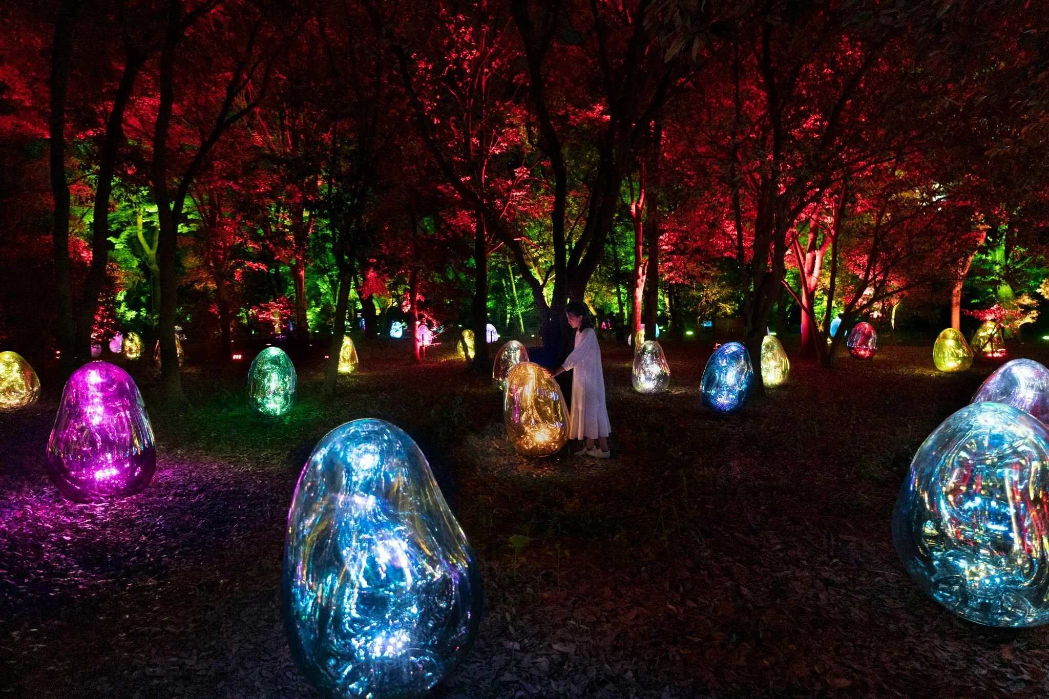 TeamLab botanical garden at night