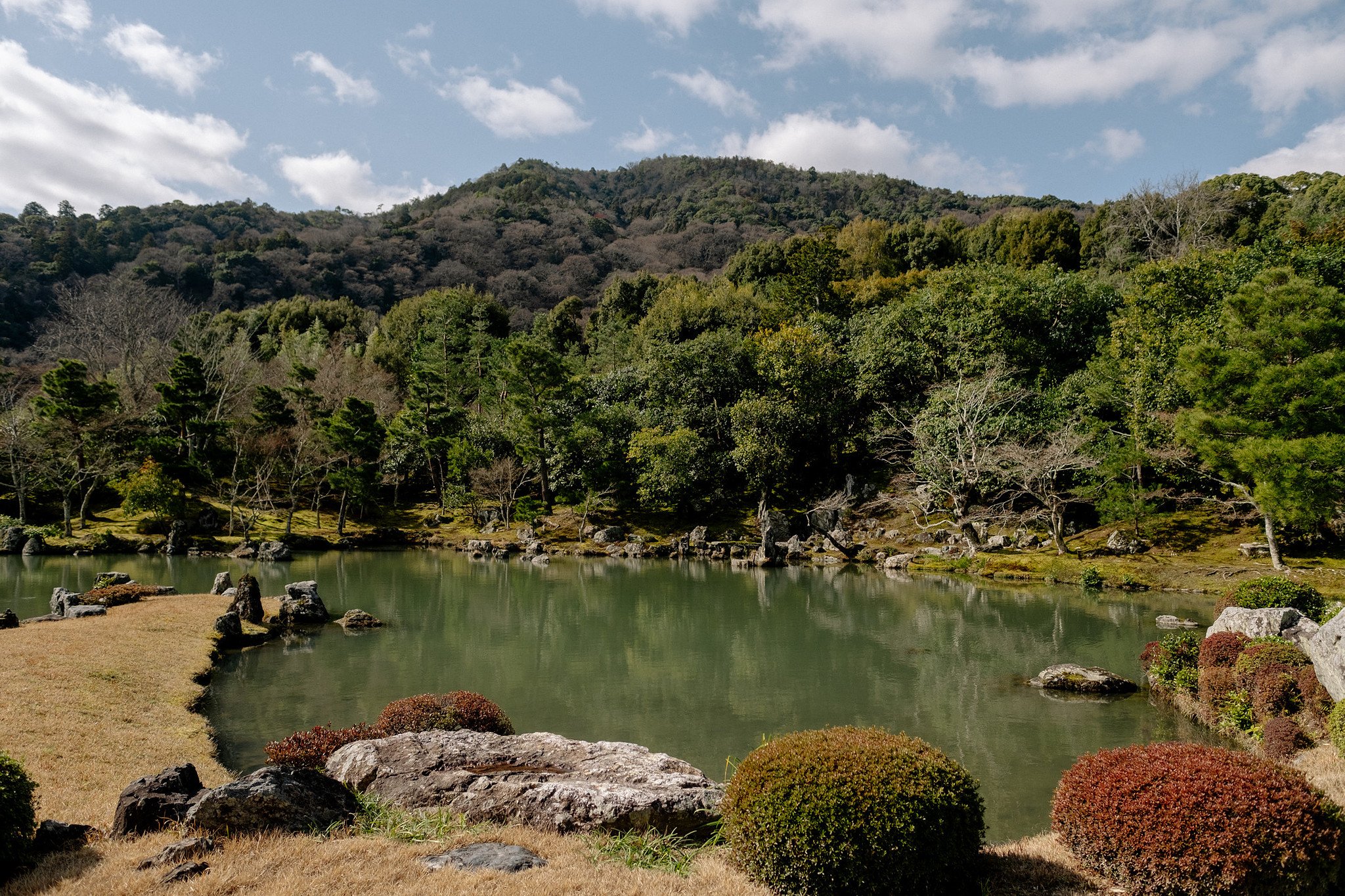 Japan2026_SQT0204.jpg