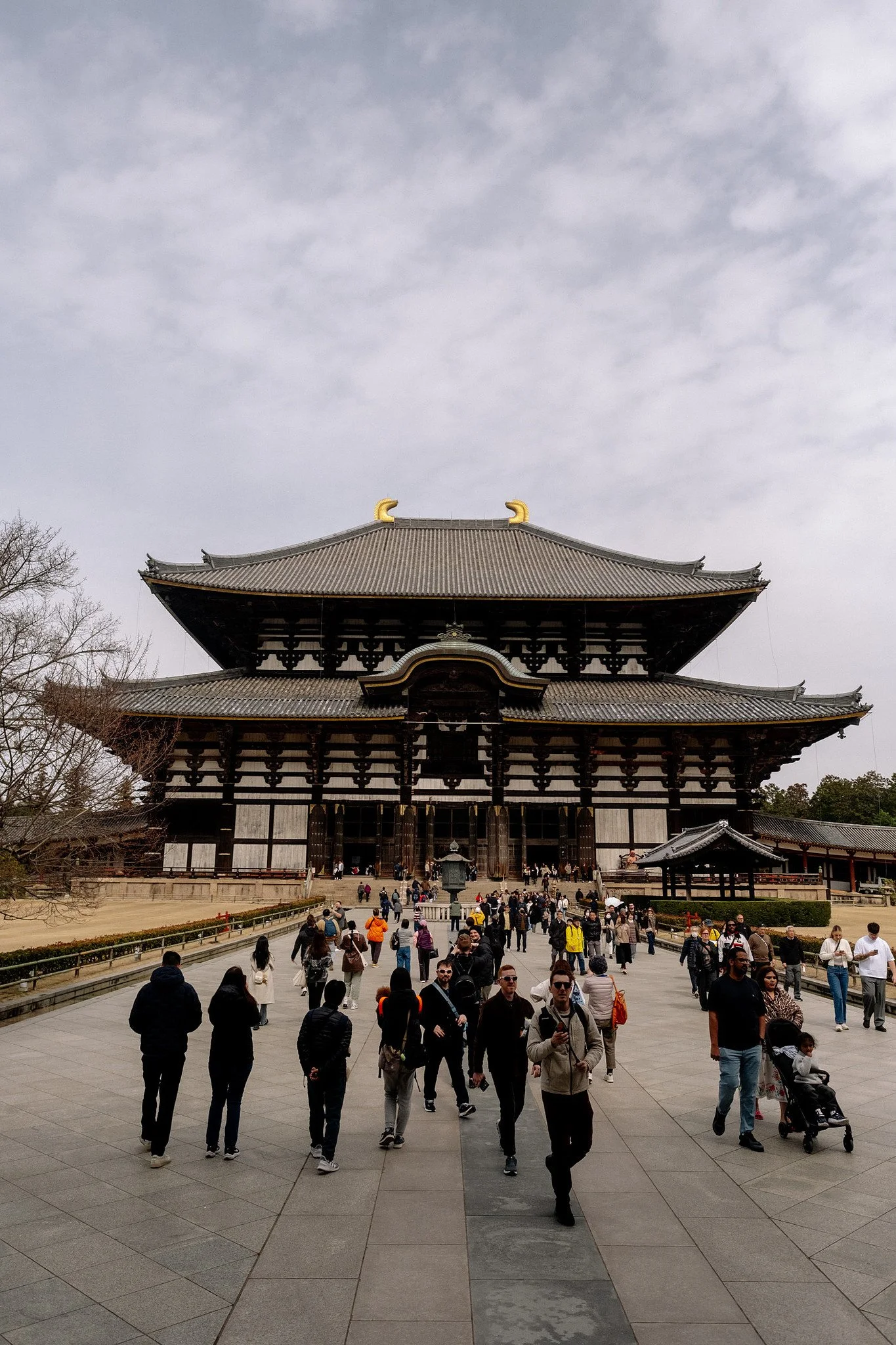 Japan2026_SQT0325.jpg