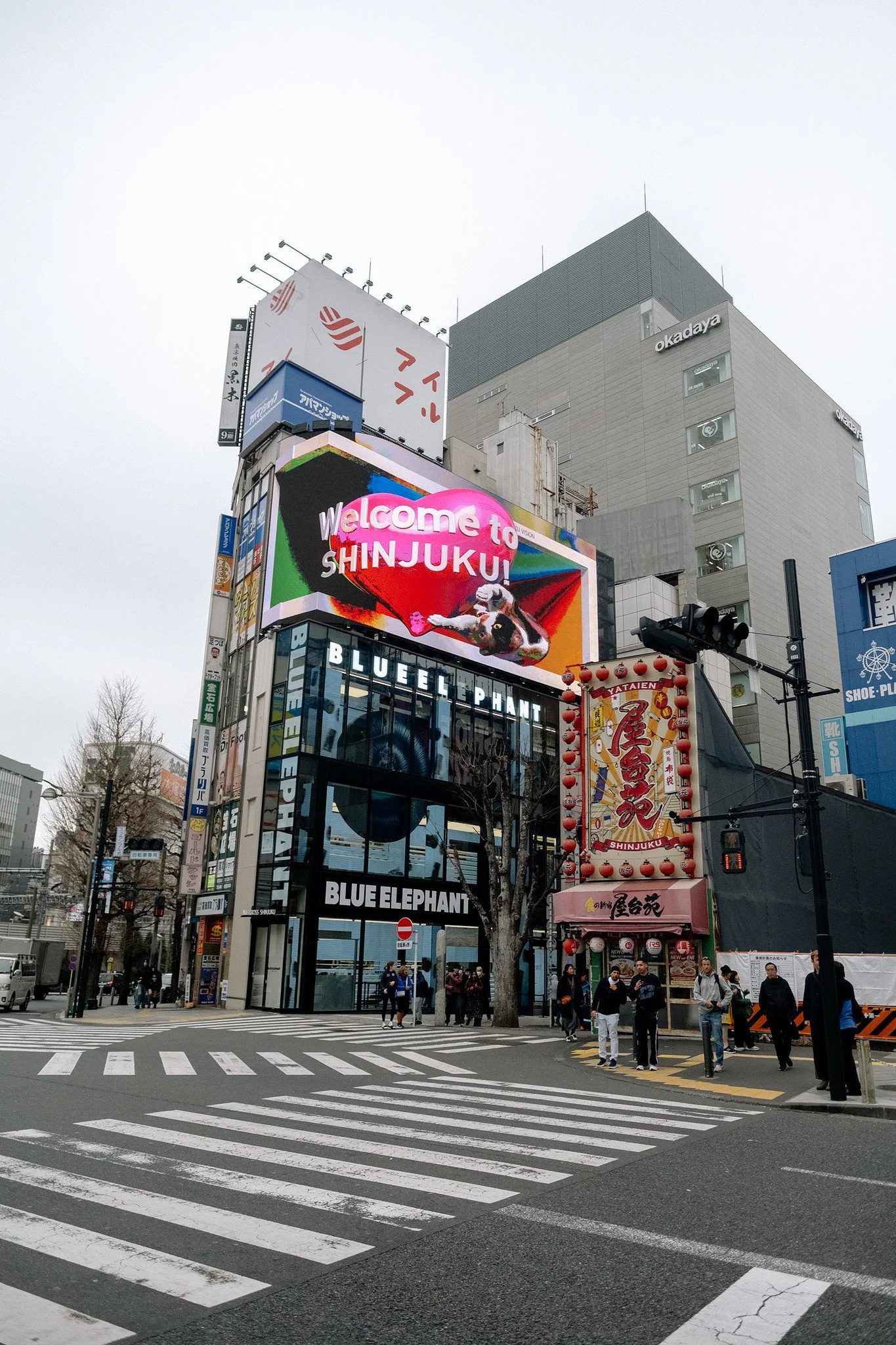 Japan-gay-single-tour-guide-shinjuku-pic.jpg