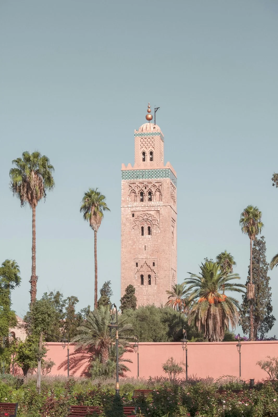  The Koutoubia Mosque minaret rising above palm trees in Marrakech, Morocco 