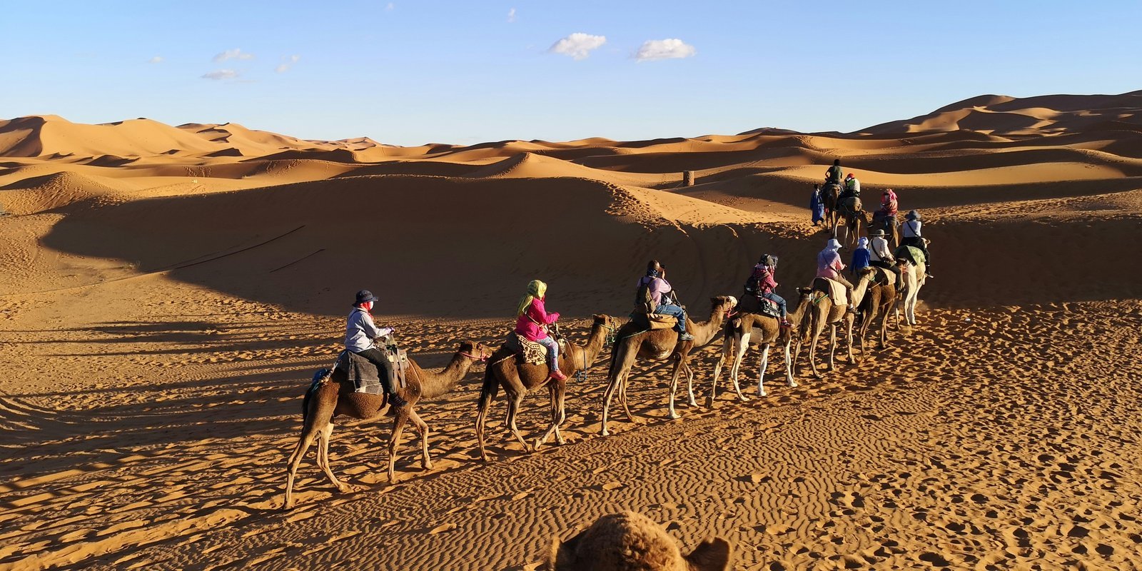  Sunset camel ride across the dunes near Merzouga in the Sahara Desert 