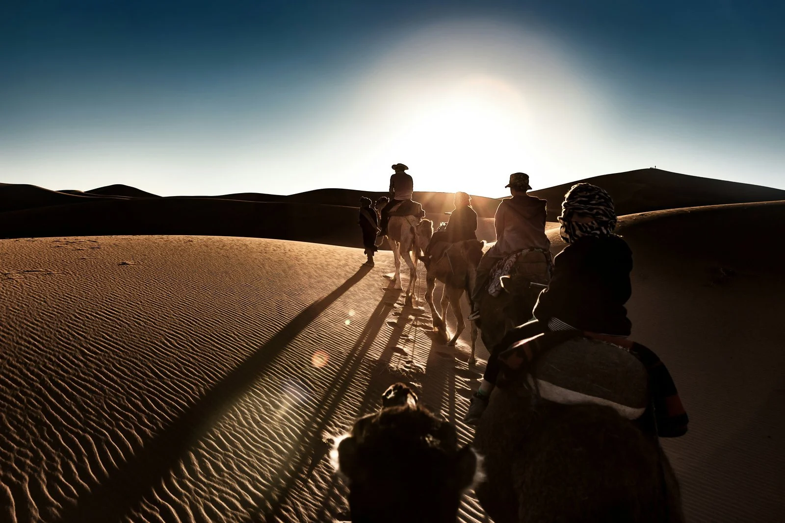  A camel caravan silhouetted against the sunset, a highlight for LGBTQ+ travelers crossing the Sahara Desert in Morocco 