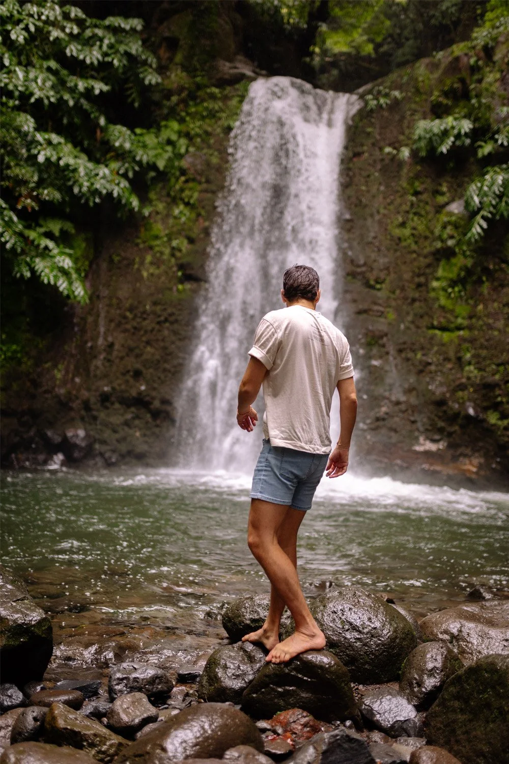 A person standing on rocks in a stream in front of a waterfall surrounded by green foliage.