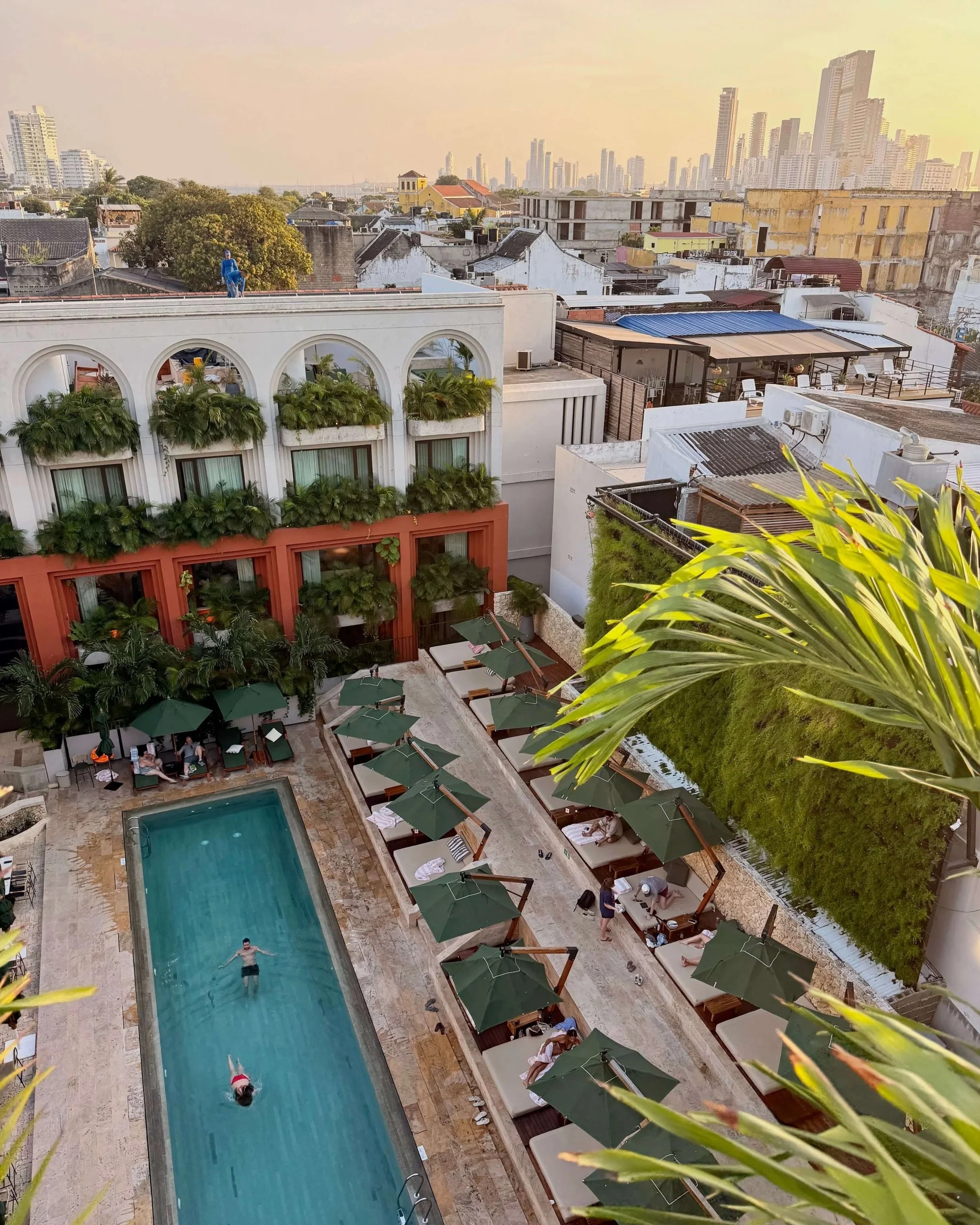 view of blue hotel pool with plants surrounding and cartagena skyline in the background