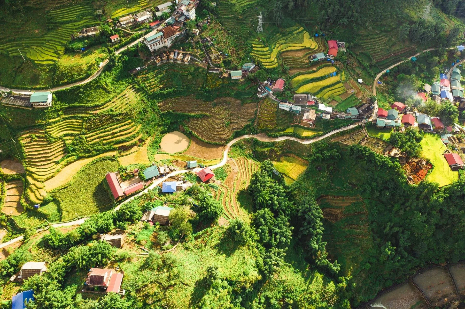 Aerial view of terraced rice fields and scattered village homes across lush green mountains in northern Vietnam