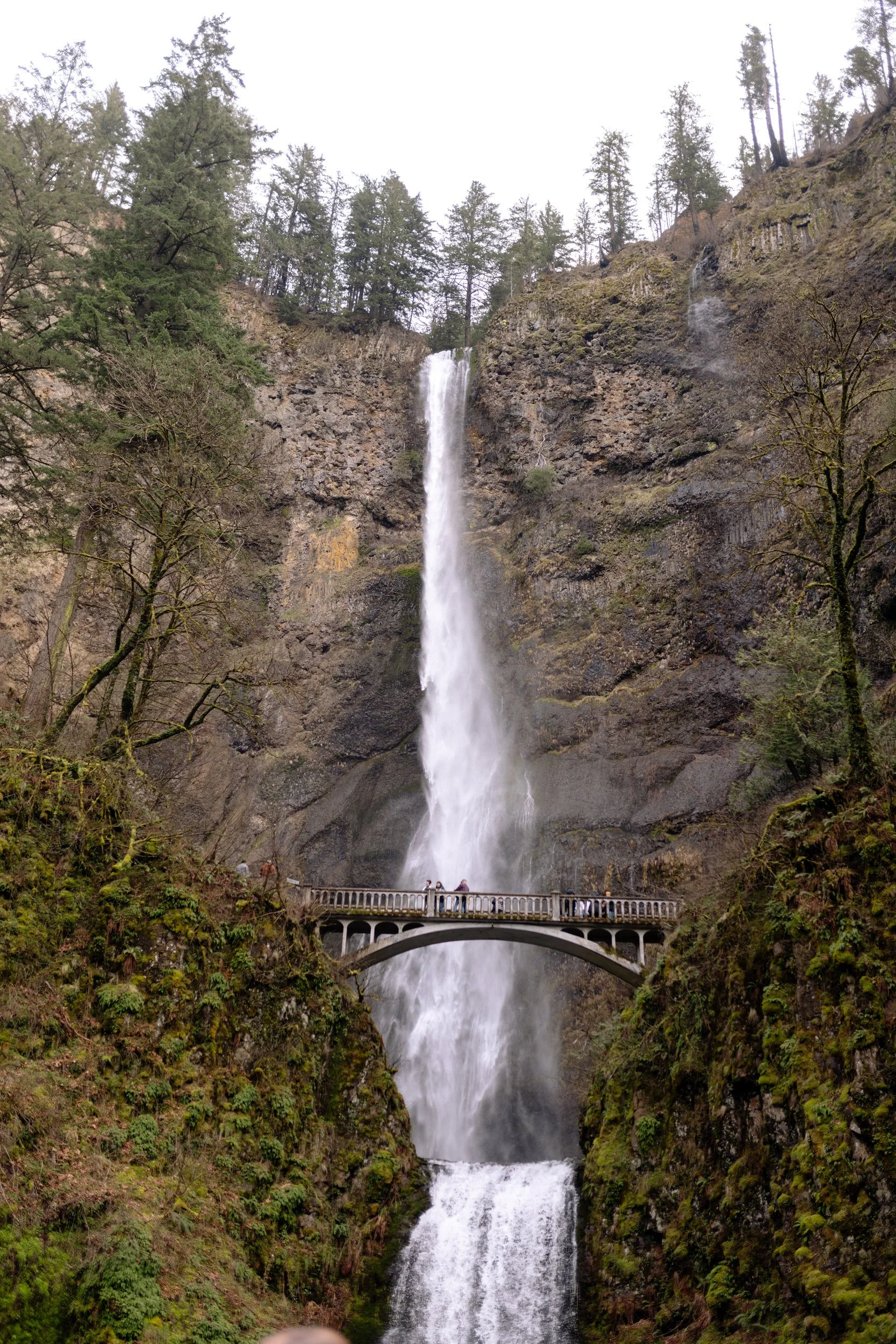 Multnomah Falls cascading behind a stone arch bridge in the Columbia River Gorge, Oregon.