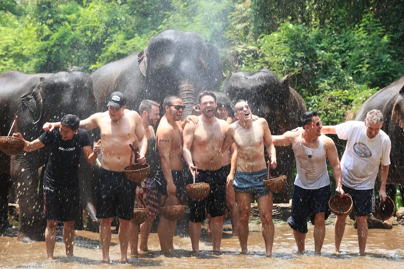 Out Adventures Gay group posing in front of elephants