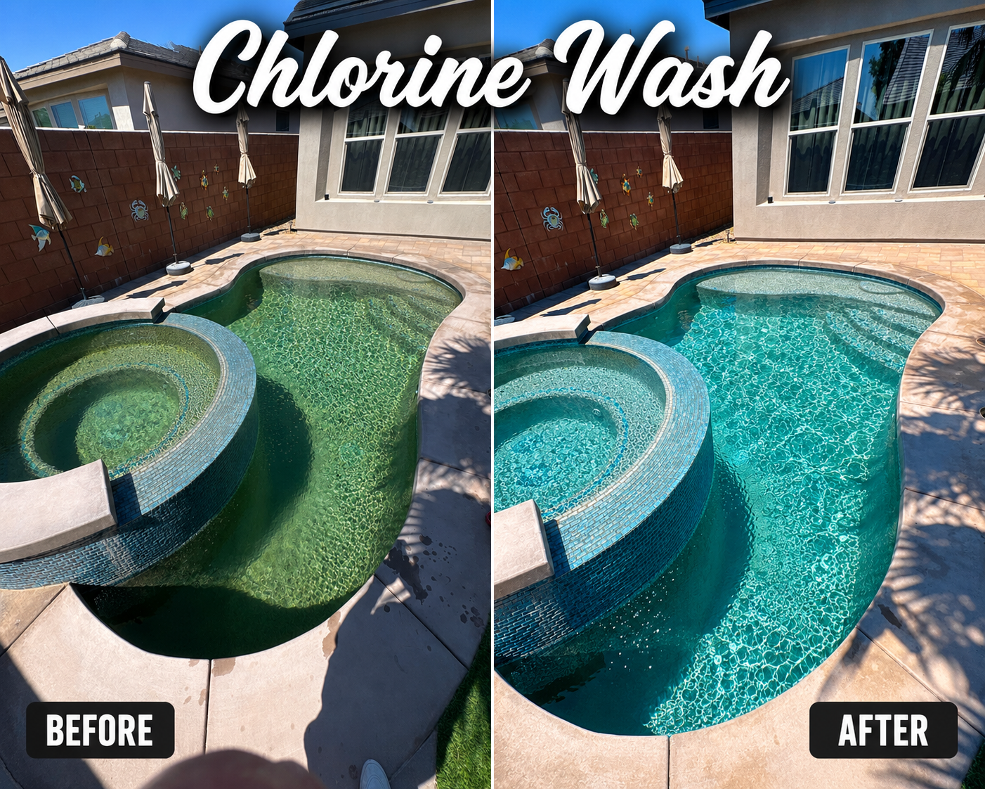 Chlorine Wash 3.png