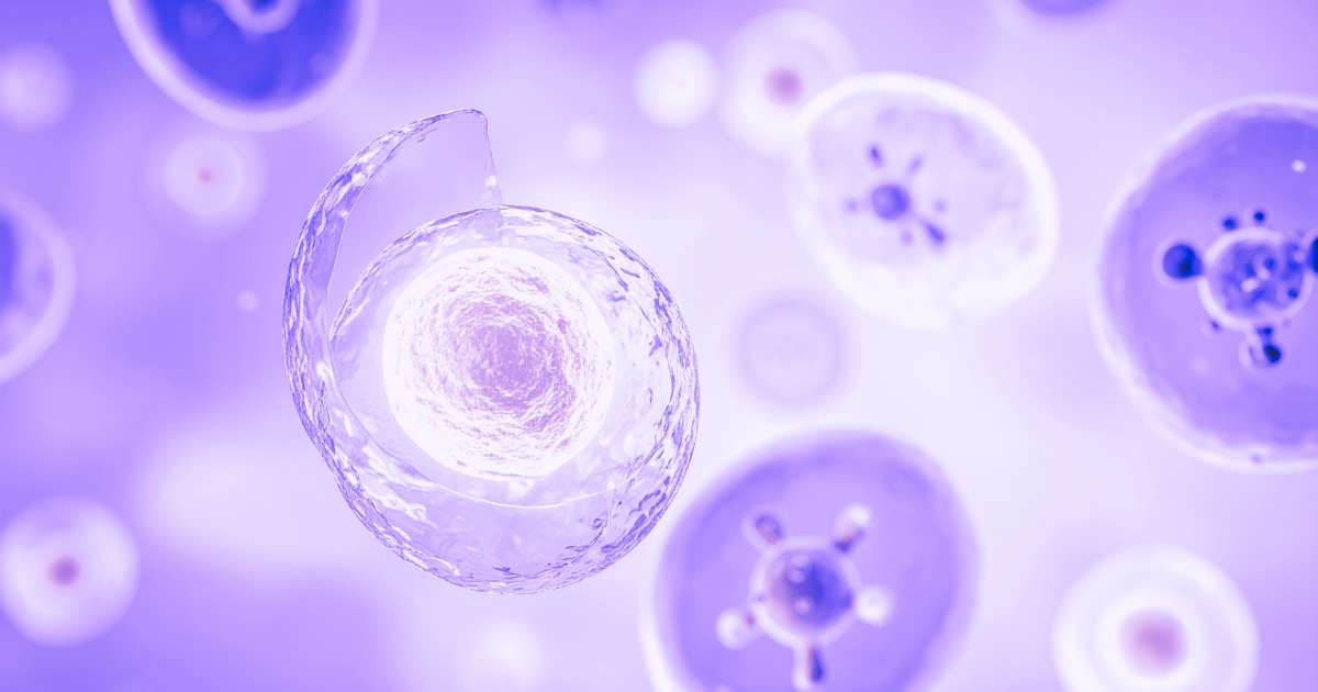 Understanding Creatine for ATP Regeneration