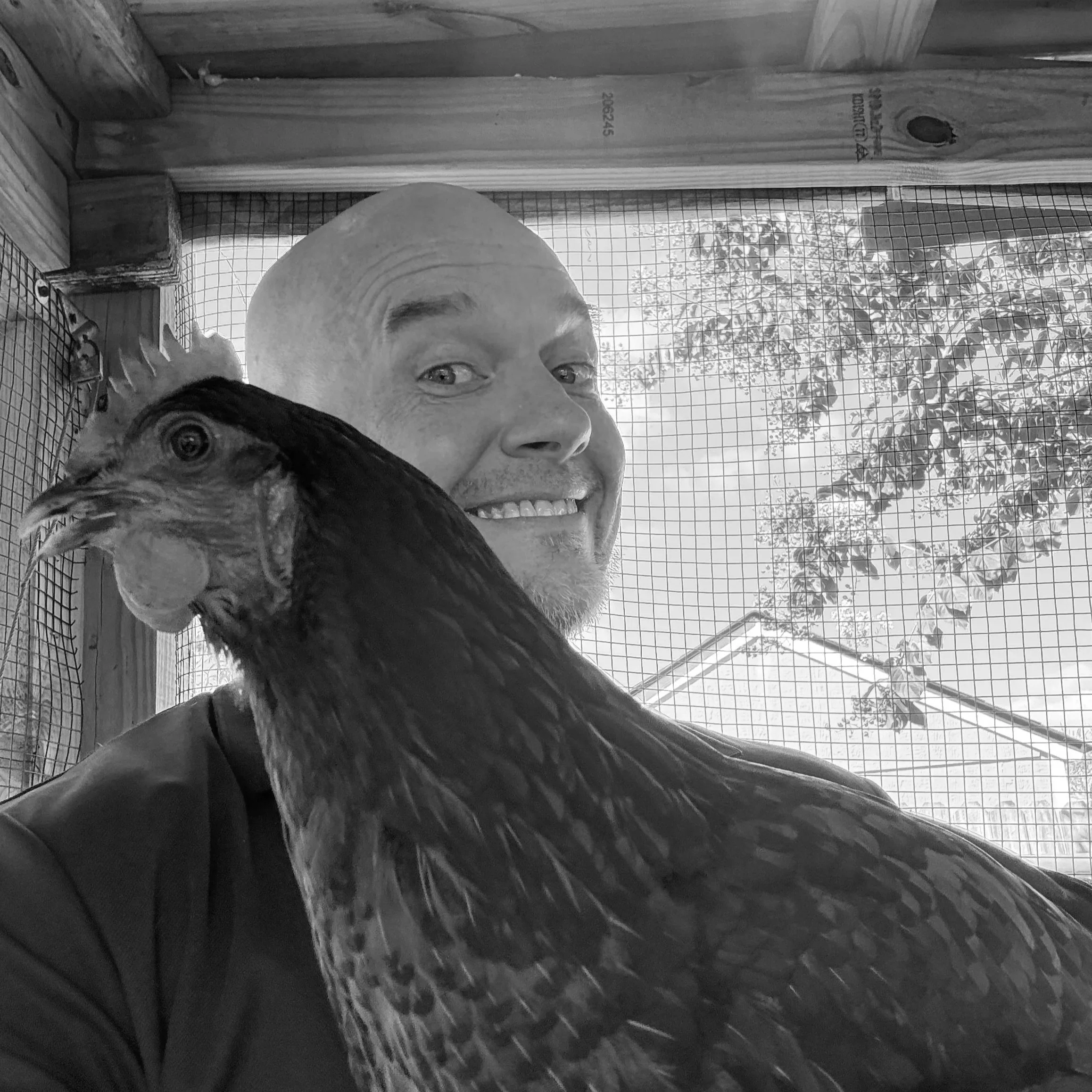 Creatine-Rich Eggs Are Real! ...Sort Of