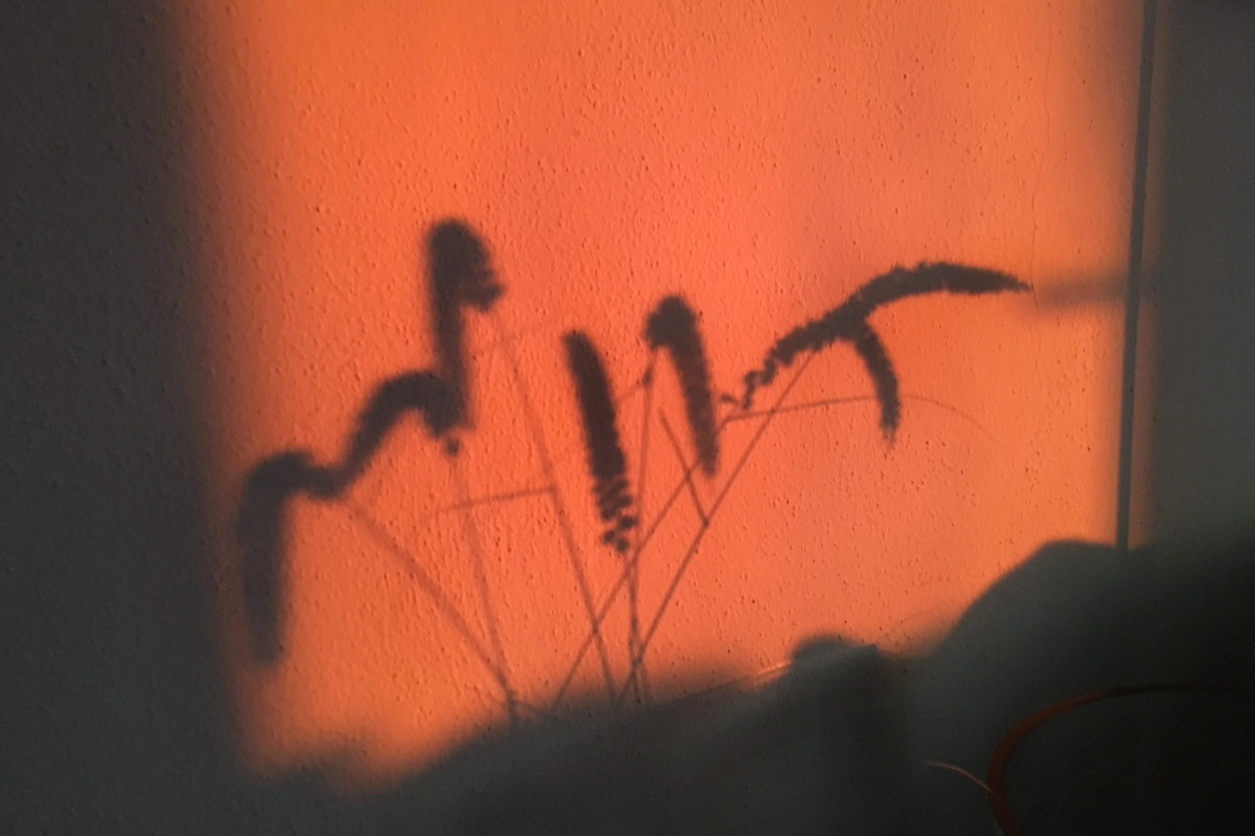 Der Schatten einer Pflanze auf einer orangefarbenen Wand.